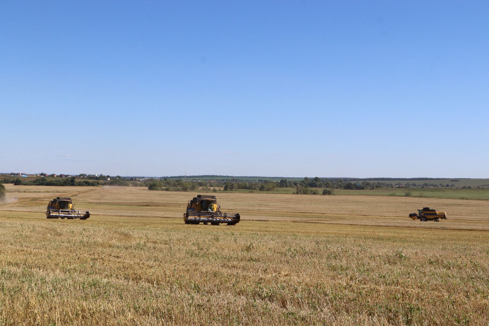 Серебряные Пруды, урожай 2023, Подмосковные 10 га, сельское хозяйство,