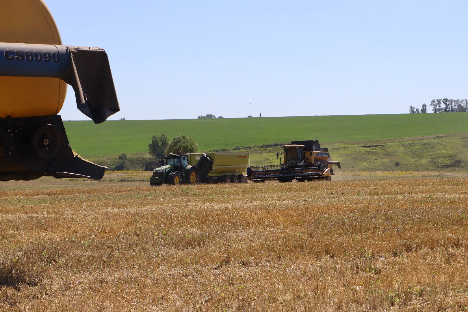 Серебряные Пруды, урожай 2023, Подмосковные 10 га, сельское хозяйство,