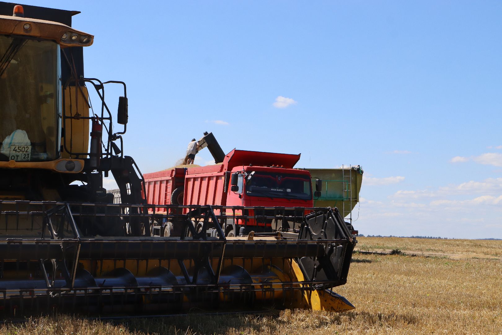 Серебряные Пруды, урожай 2023, Подмосковные 10 га, сельское хозяйство,