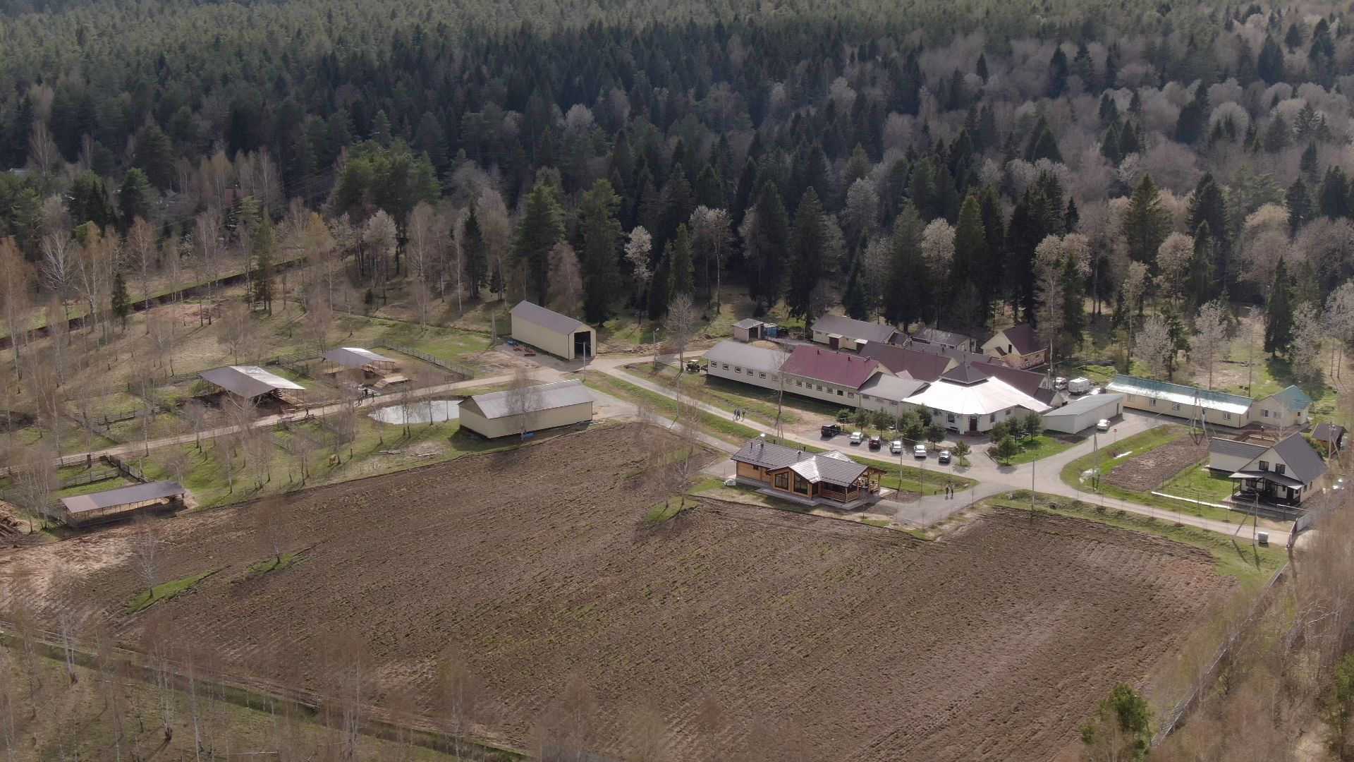 талдом, ферма, козы,видео с коптера,