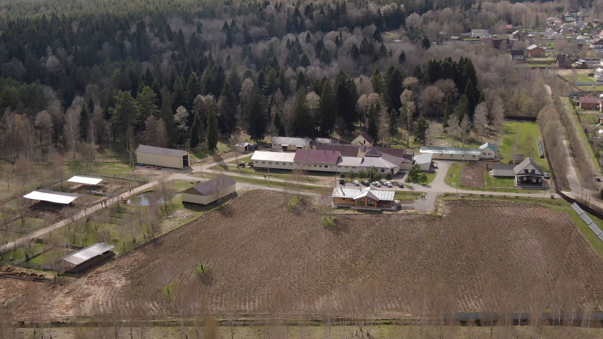 талдом, ферма, козы,видео с коптера,