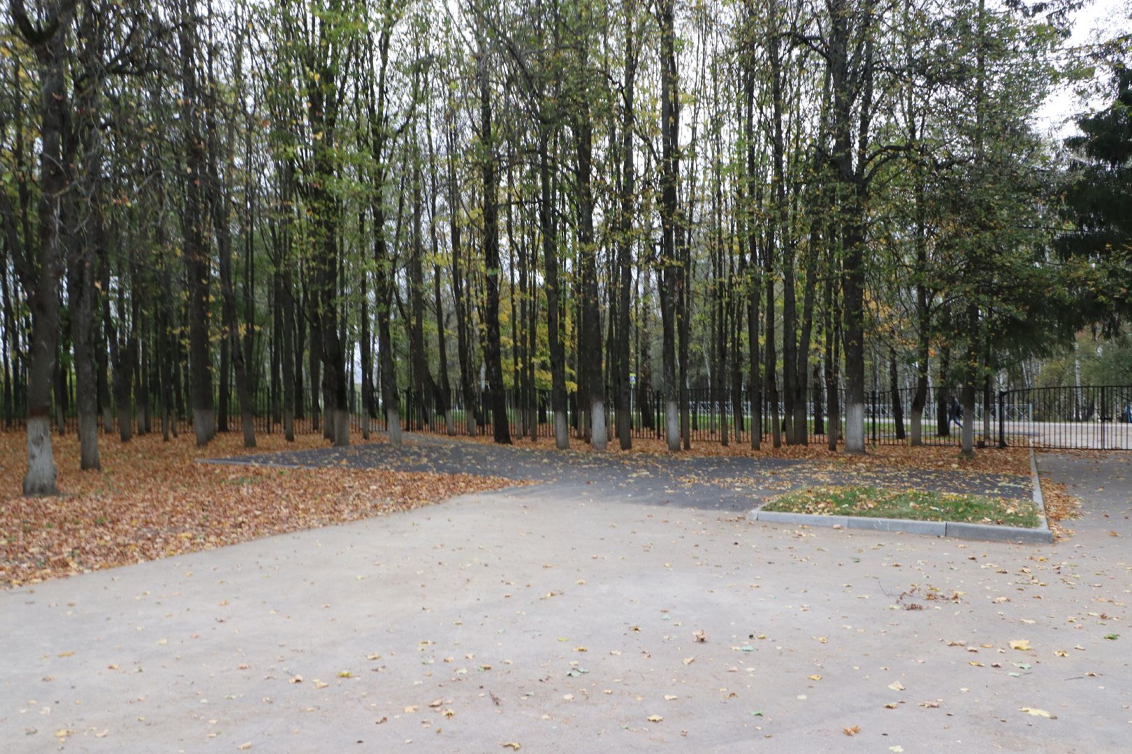 Серебряные Пруды, Узуново, Новая школа, Президентская программа, благоустройство, образование,