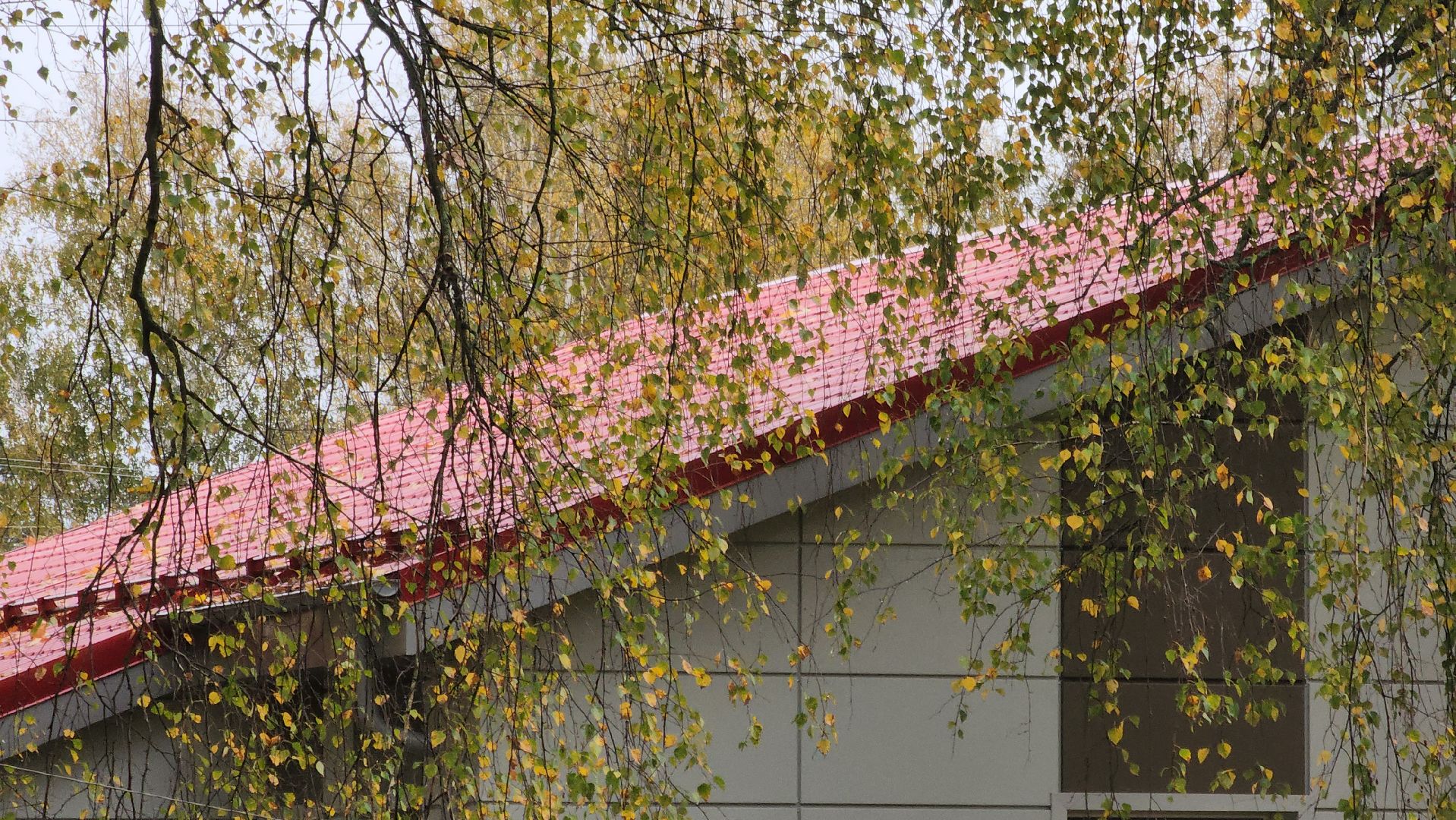 Медицина, Ремонт, Электрогорск, Городской округ Павловский Посад, Строительство, Люди,