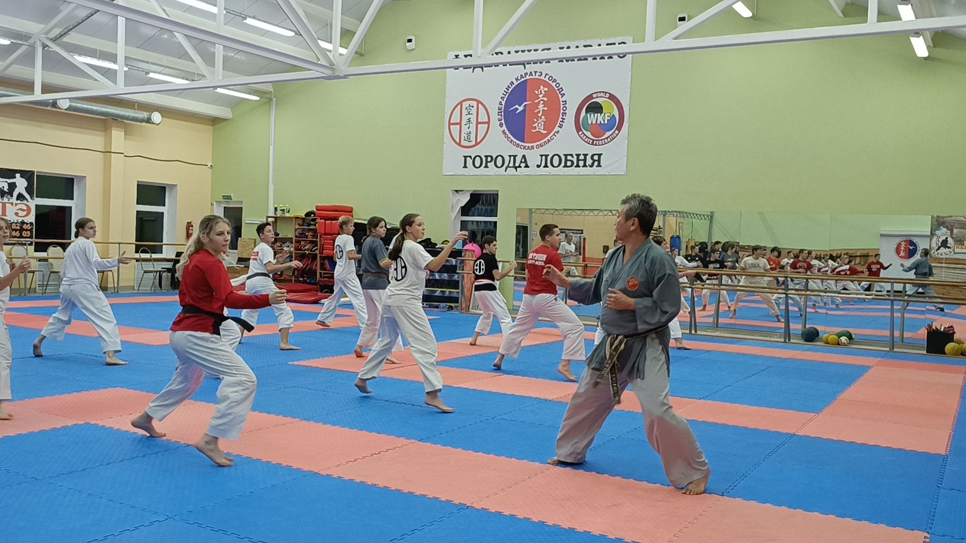 спорт, карате, лобня,