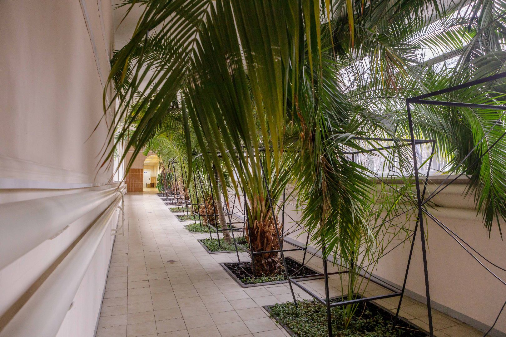 Люберцы, Сердце, УЗИ,