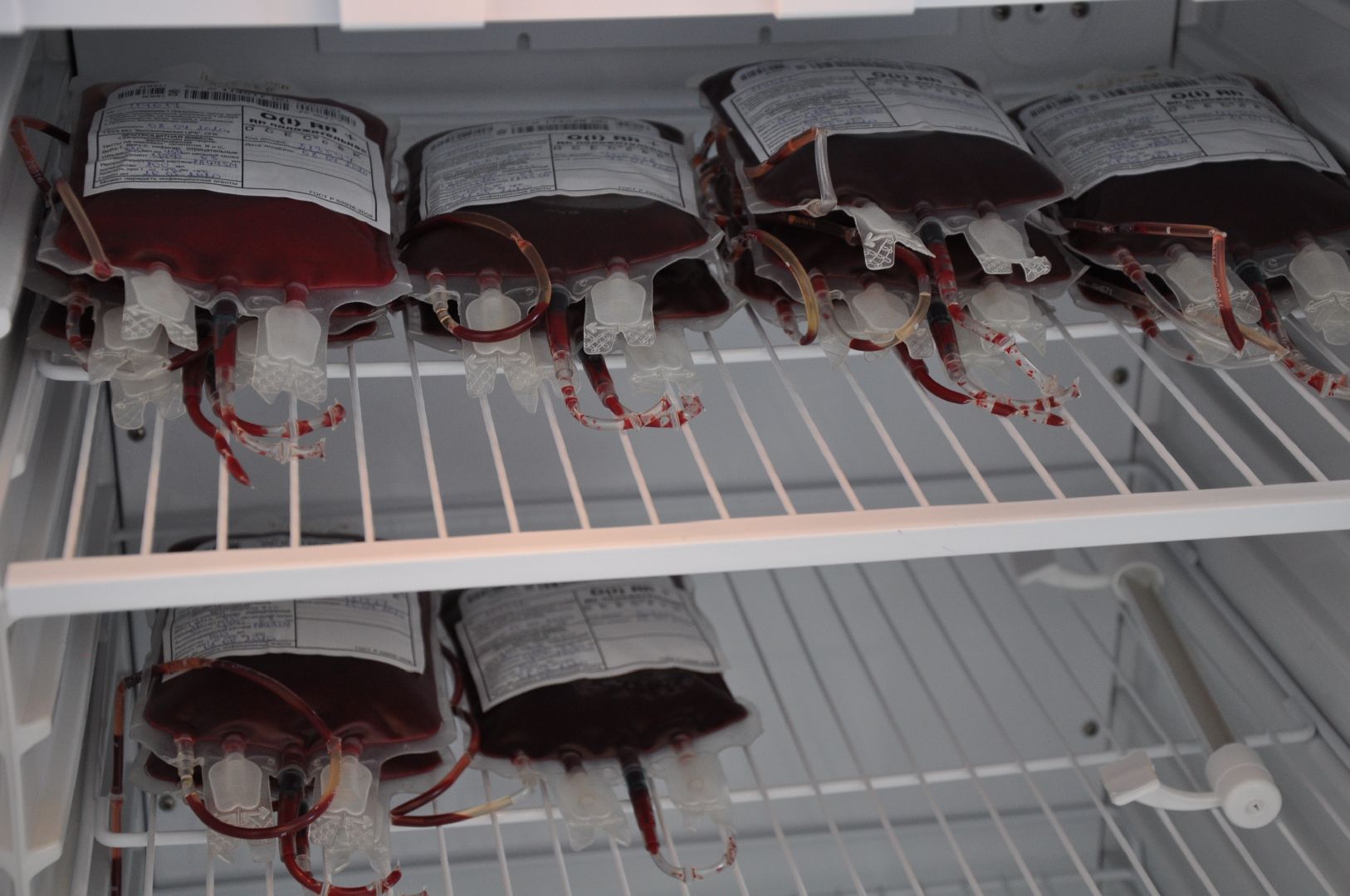 волоколамск, медицина, кровь, донорство, донорская акция, больница,