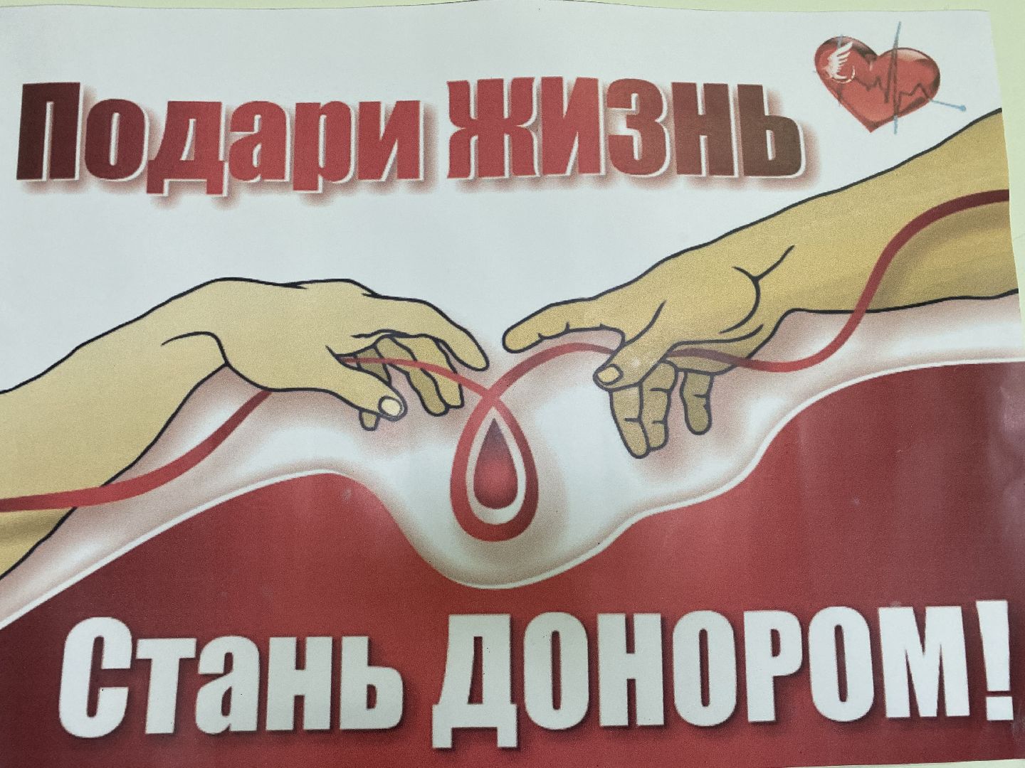 волоколамск, медицина, кровь, донорство, донорская акция, больница,