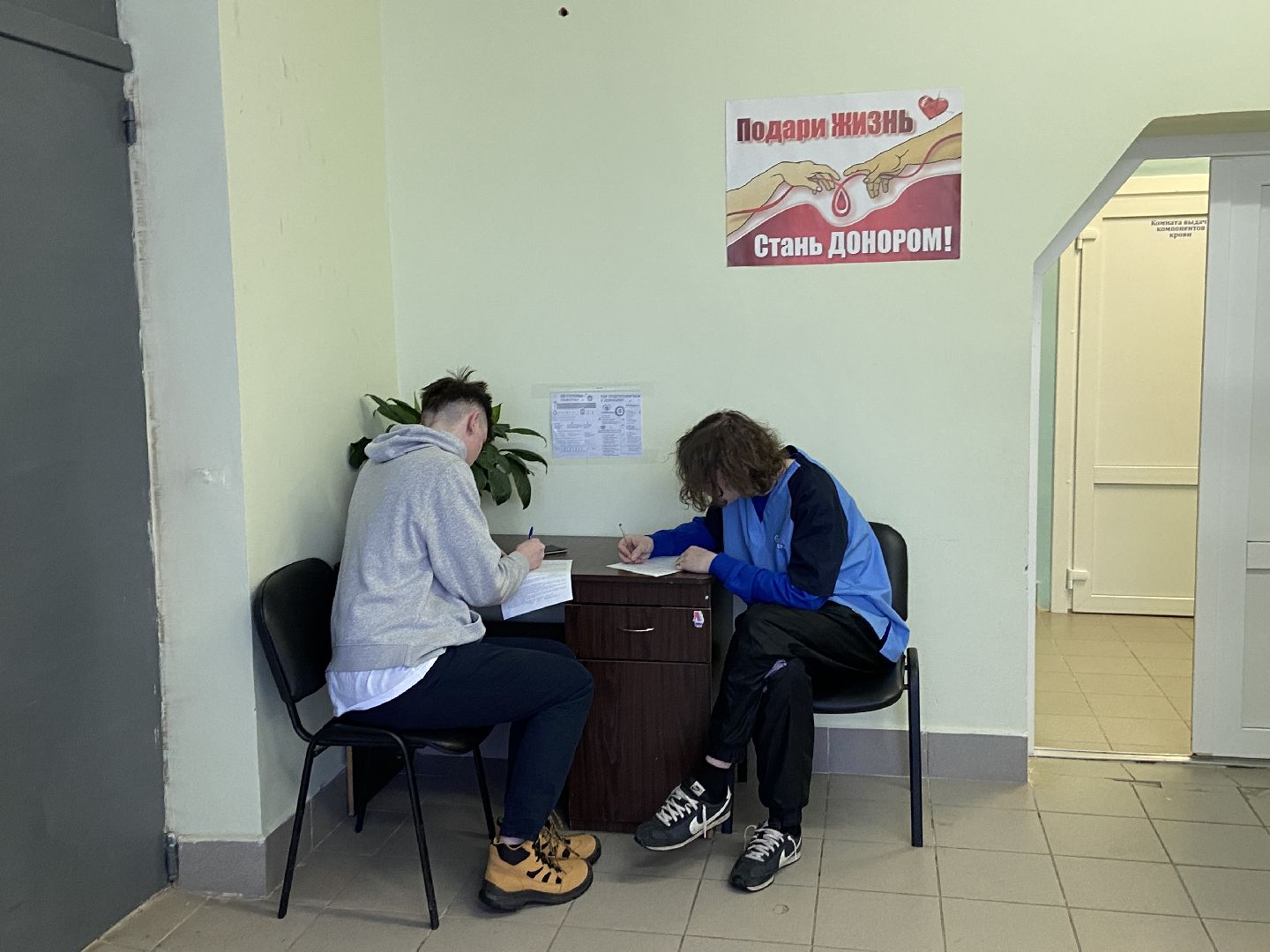волоколамск, медицина, кровь, донорство, донорская акция, больница,