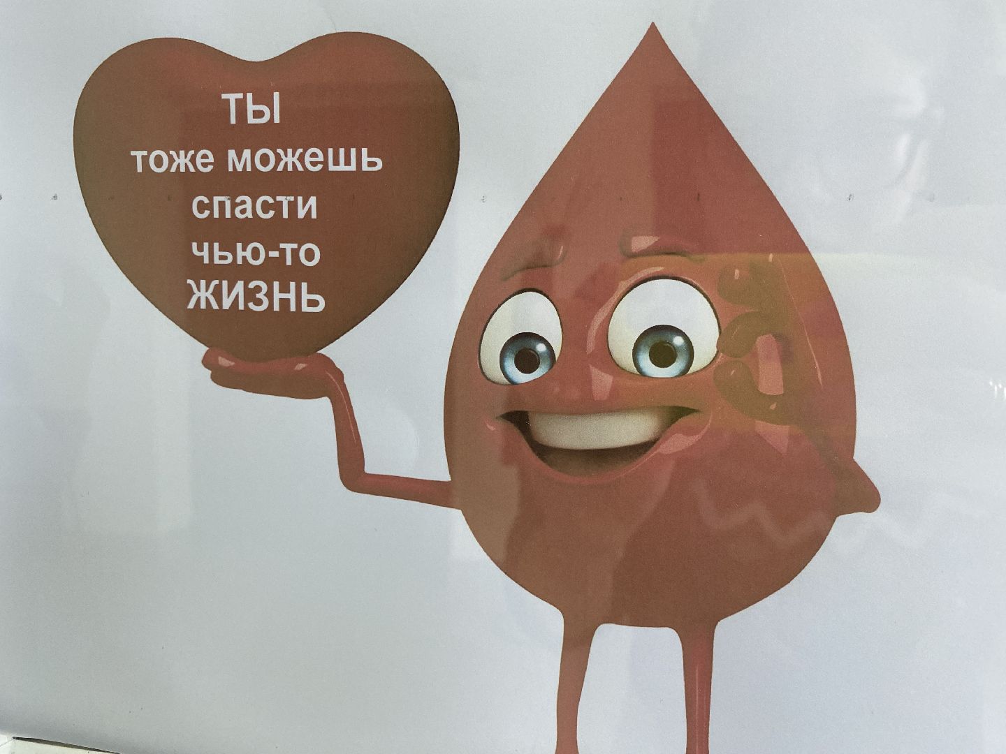 волоколамск, медицина, кровь, донорство, донорская акция, больница,
