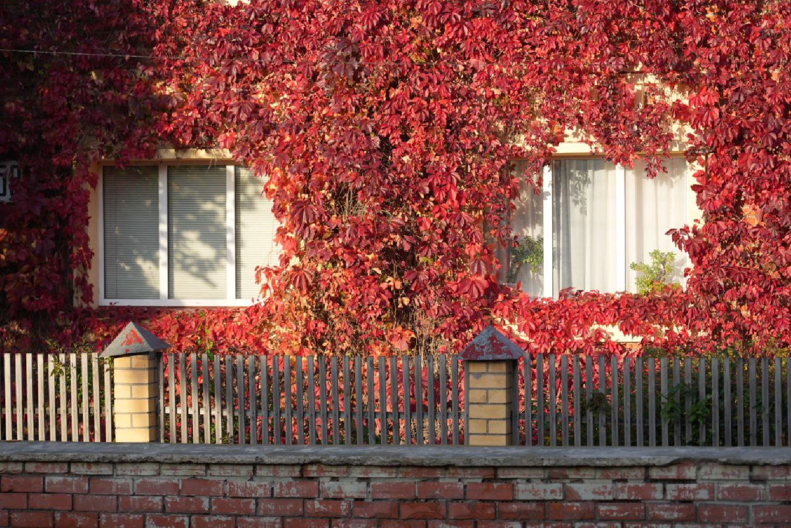 Сергиево-Посадский городской округ, Сергиев Посад, Фотограф, Необычные места, Природа, Осень,