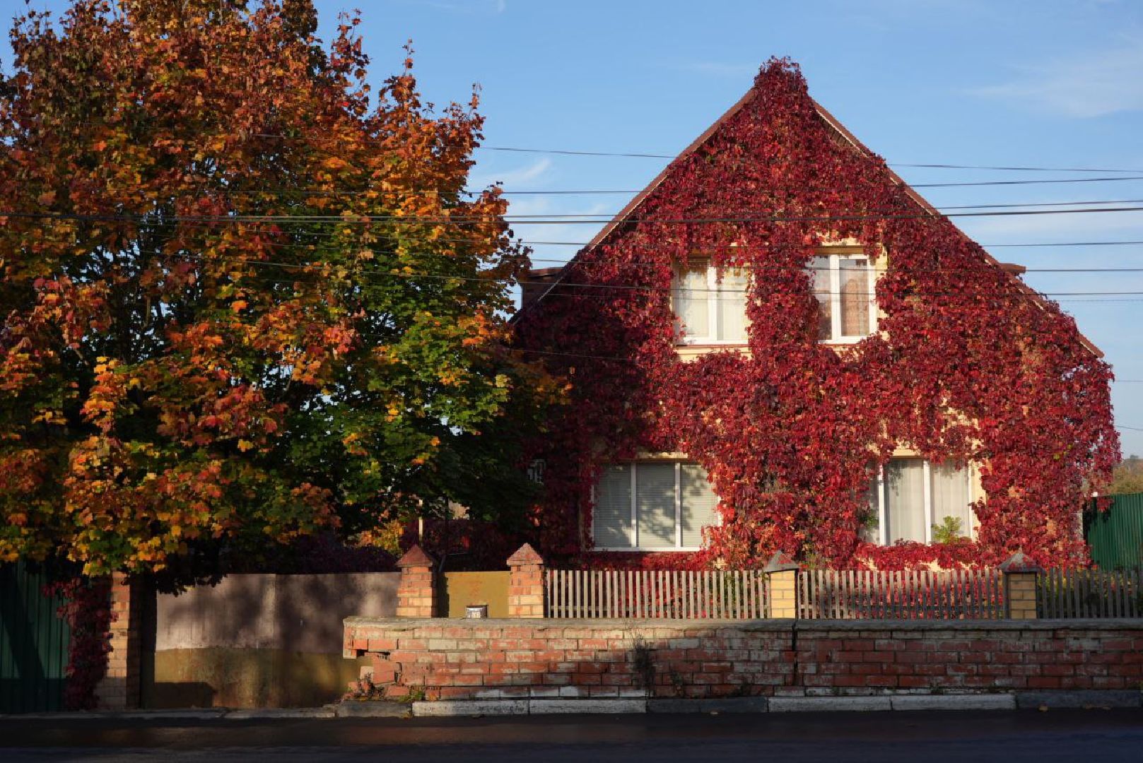 Сергиево-Посадский городской округ, Сергиев Посад, Фотограф, Необычные места, Природа, Осень,