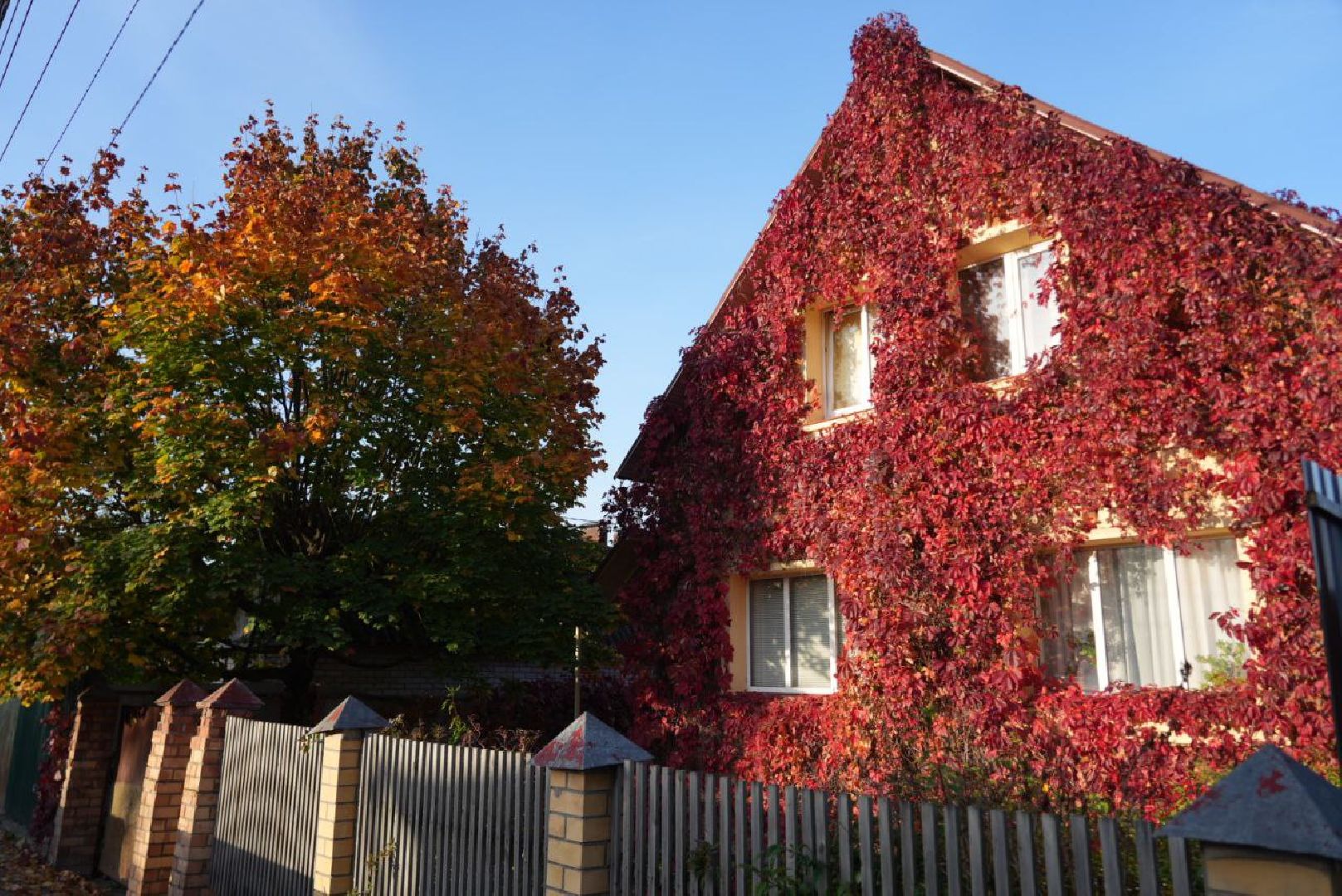 Сергиево-Посадский городской округ, Сергиев Посад, Фотограф, Необычные места, Природа, Осень,