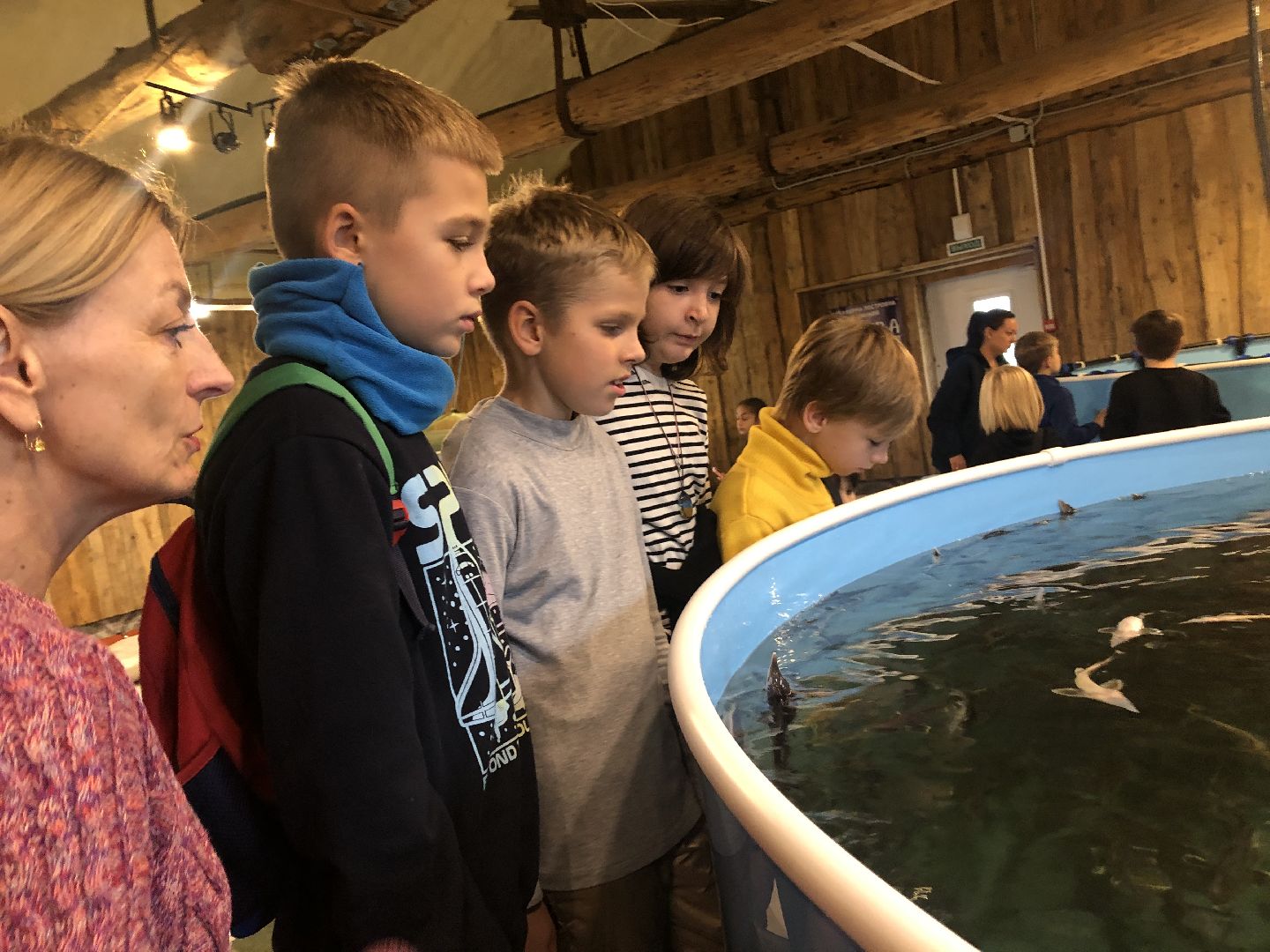 коломна, экономика, сельское хозяйство, рыба,