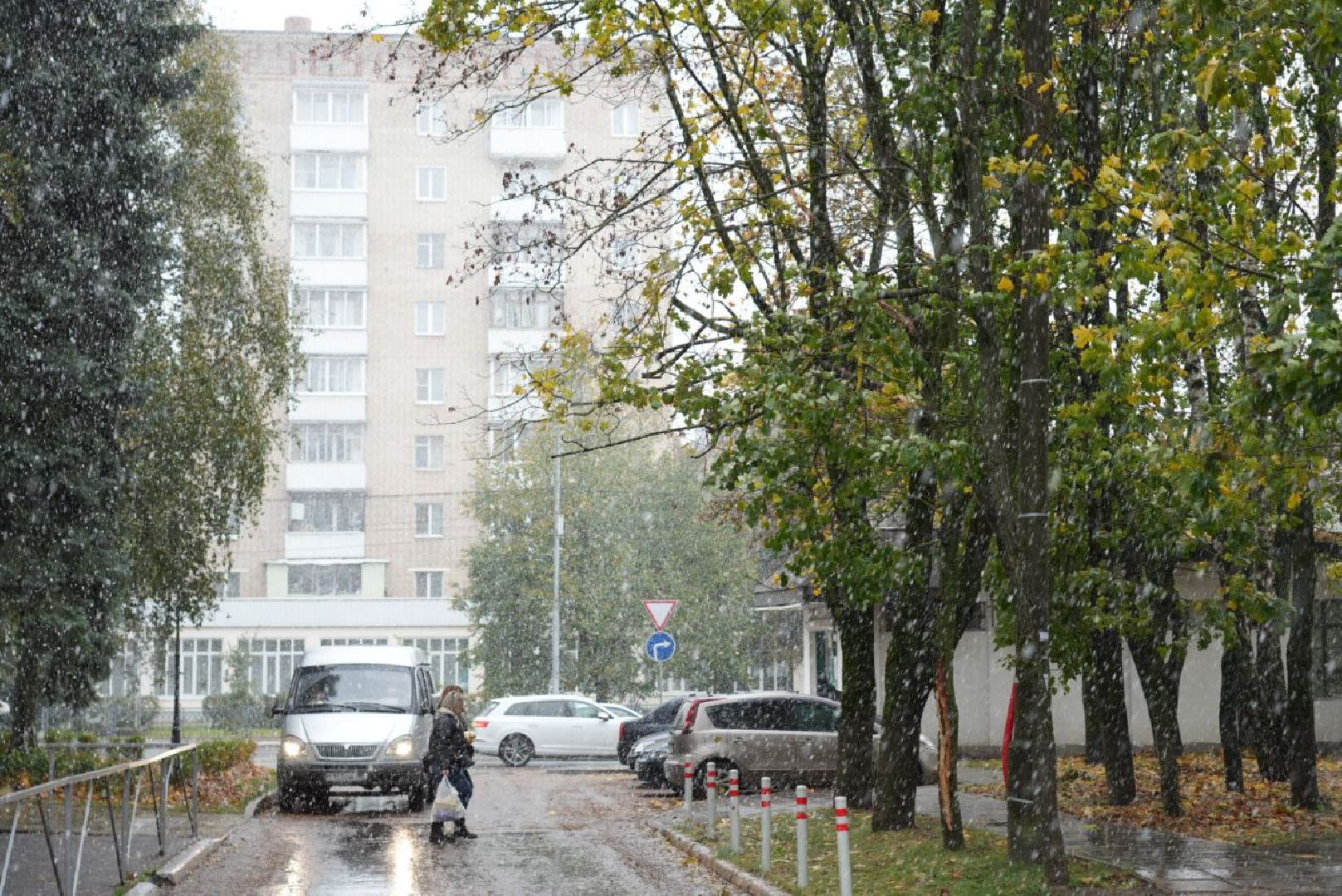 Сергиево-Посадский городской округ, Метель, Погода, Осень, Зима, Город,