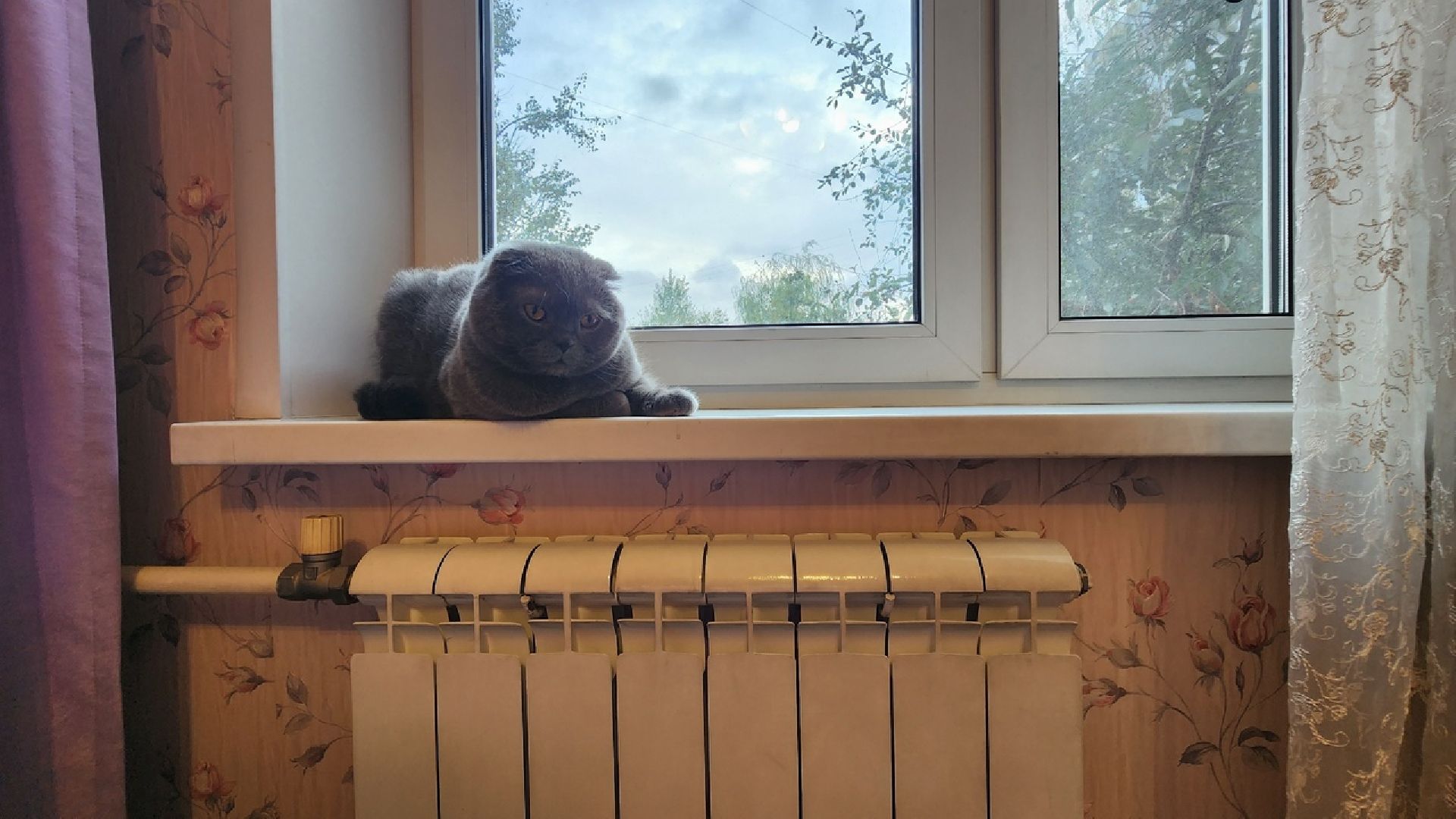 Солнечногорск, ЖКХ, отопление, военный городок, осень,