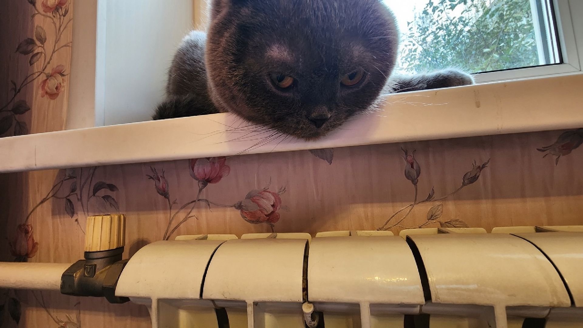 Солнечногорск, ЖКХ, отопление, военный городок, осень,