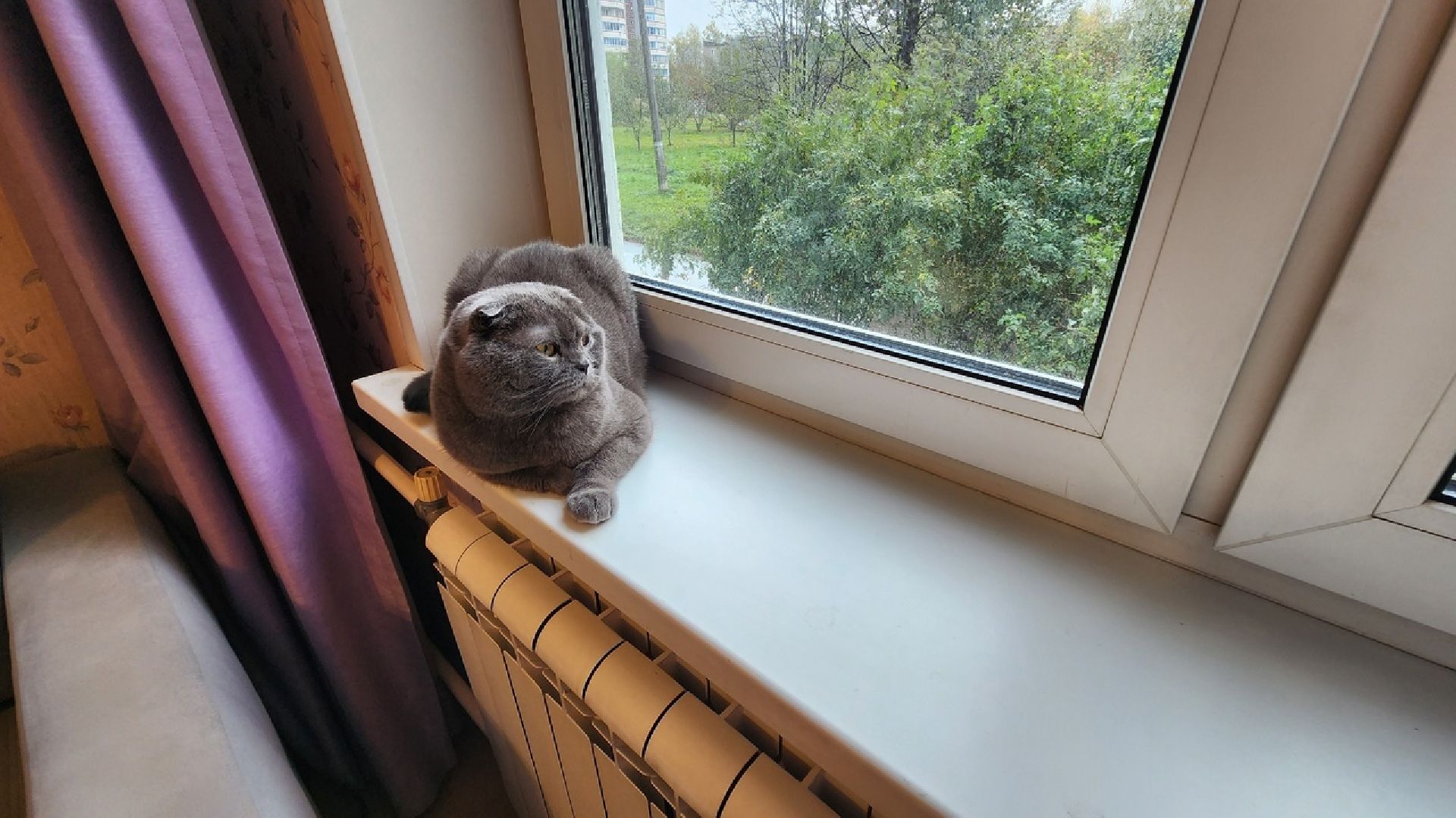 Солнечногорск, ЖКХ, отопление, военный городок, осень,