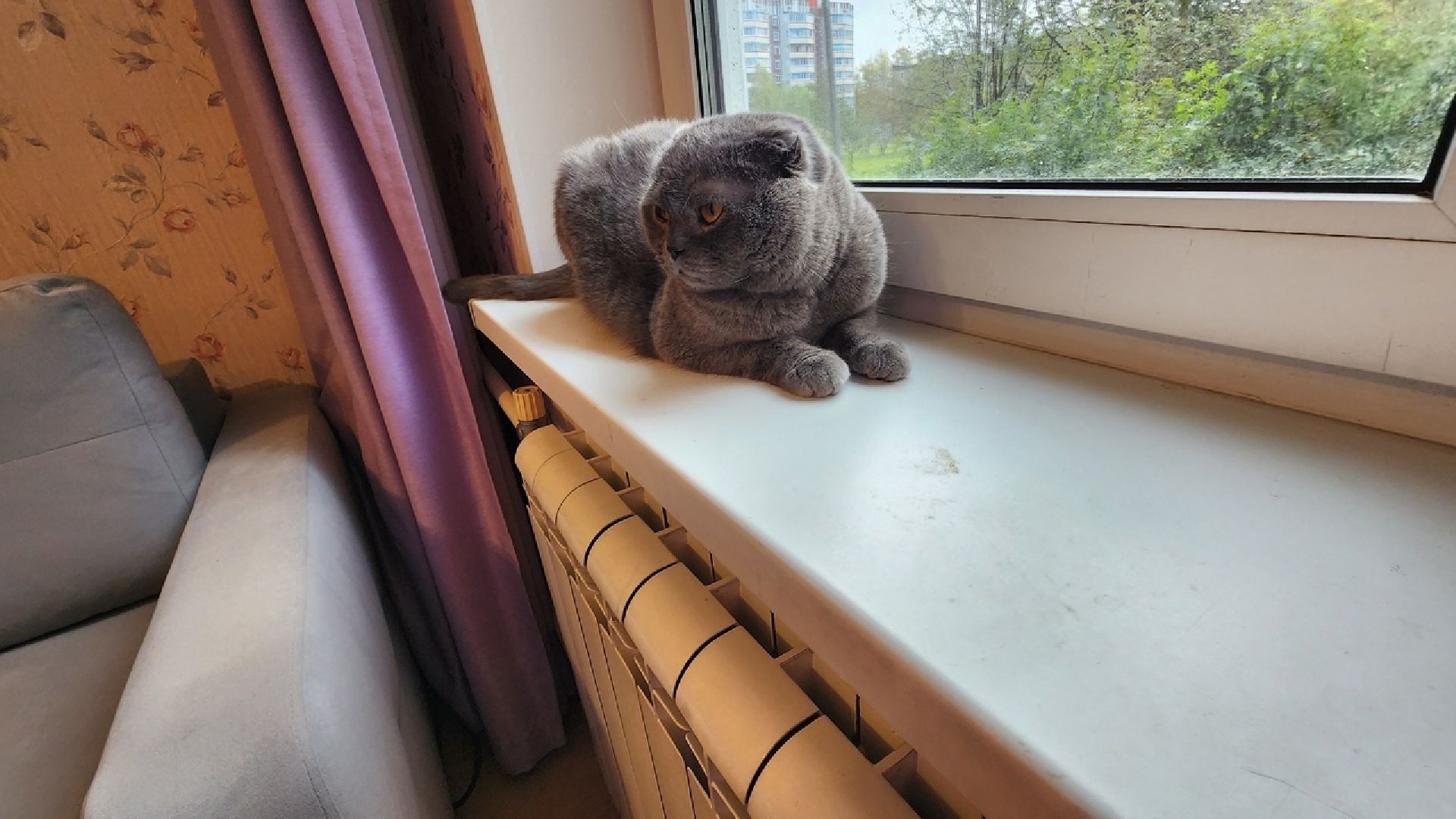 Солнечногорск, ЖКХ, отопление, военный городок, осень,