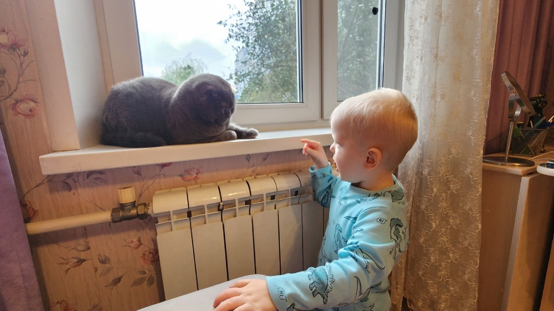 Солнечногорск, ЖКХ, отопление, военный городок, осень,