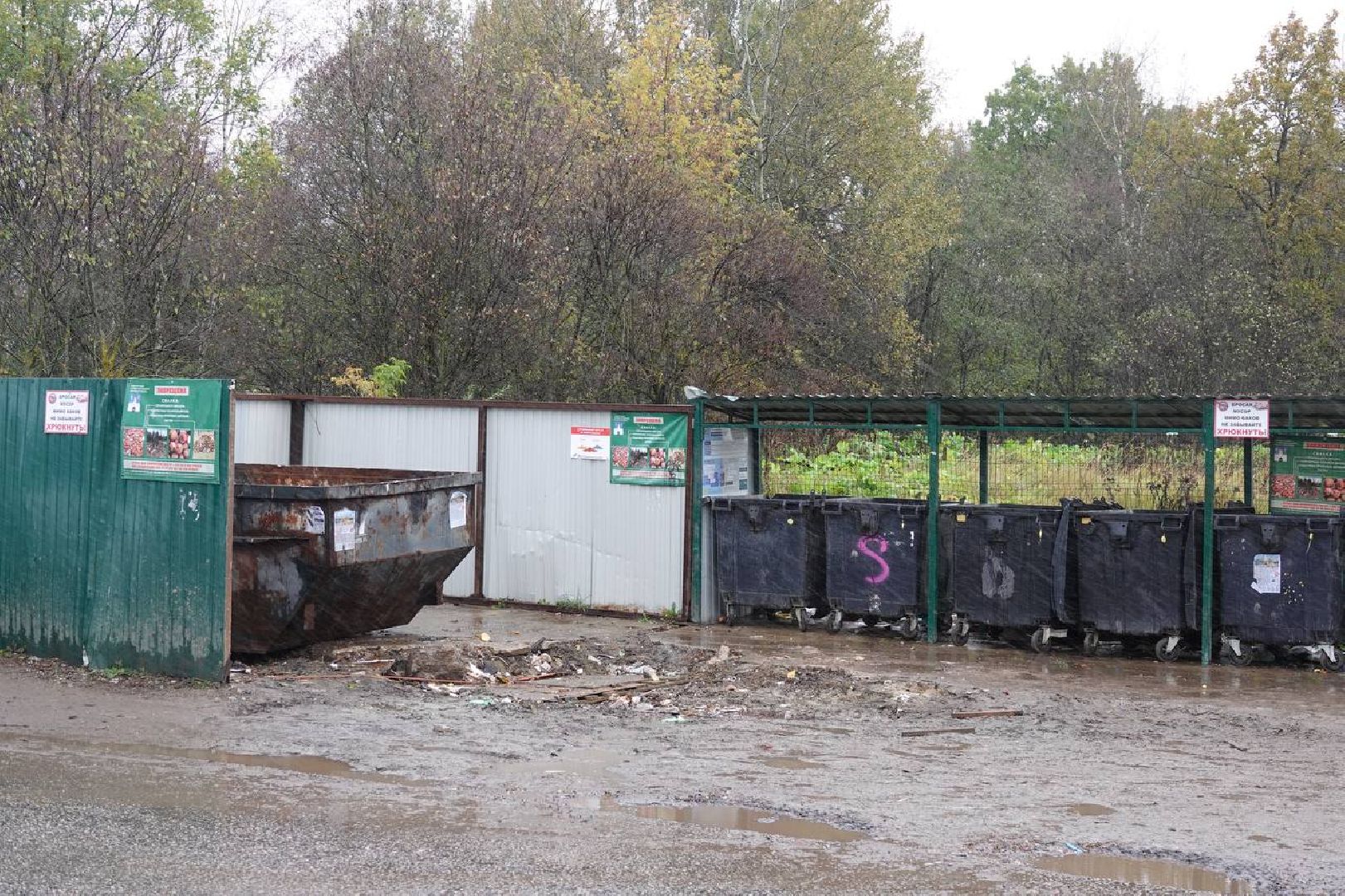 Сергиево-Посадский городской округ, Сергиев Посад, Экология, КГО, ТКО, Отходы, Серые возчики,