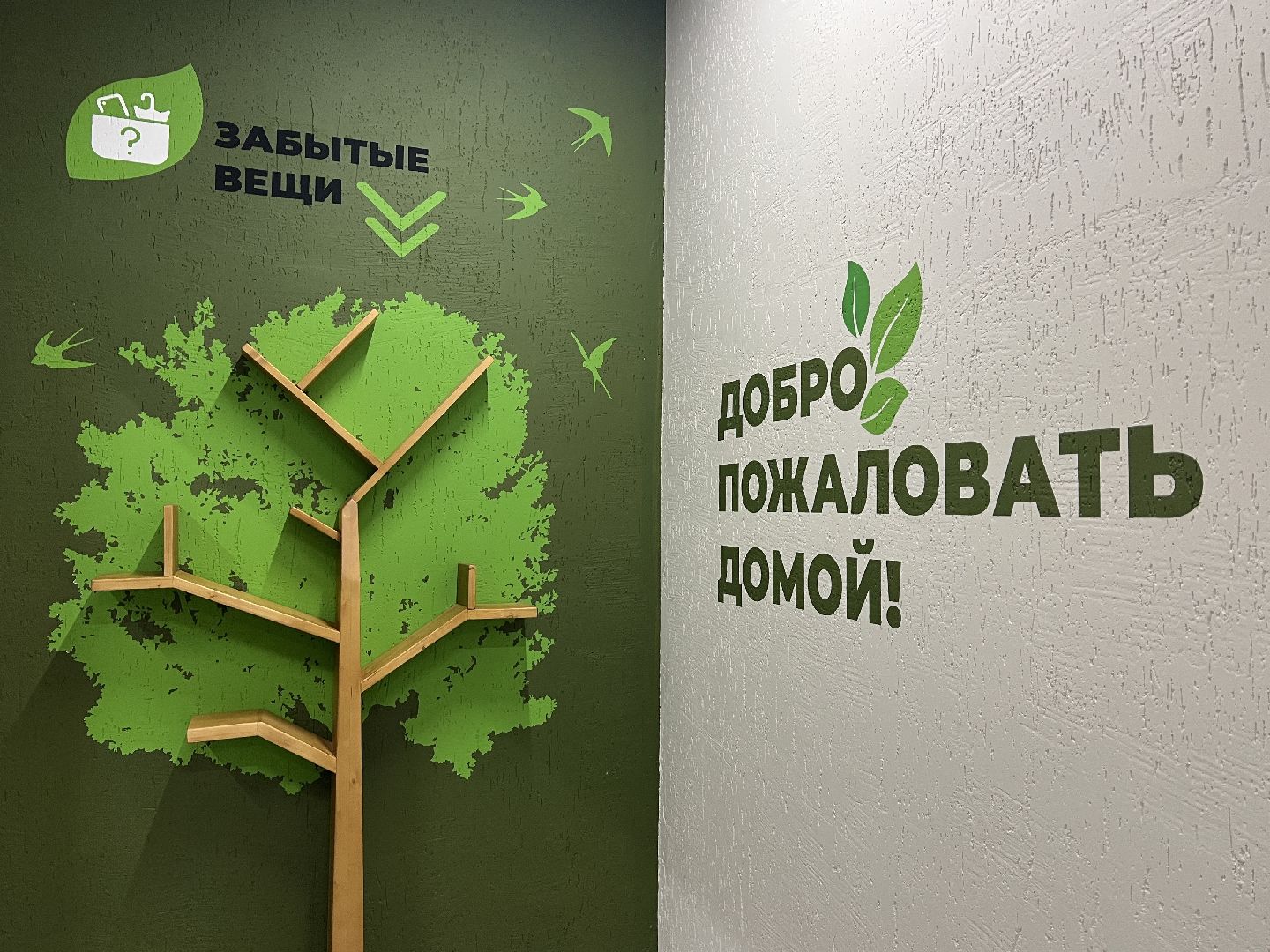 химки, жкх, подъезд, ремонт подъездов,