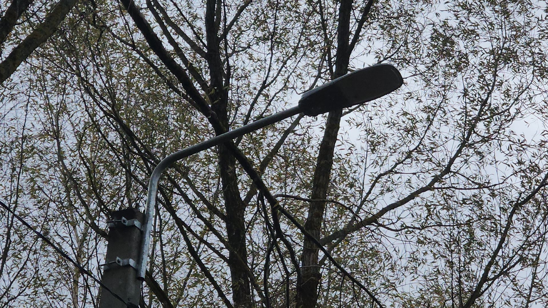 Благоустройство, Павловский Посад, Городской округ Павловский Посад, Освещение, Программа, Подмосковье,