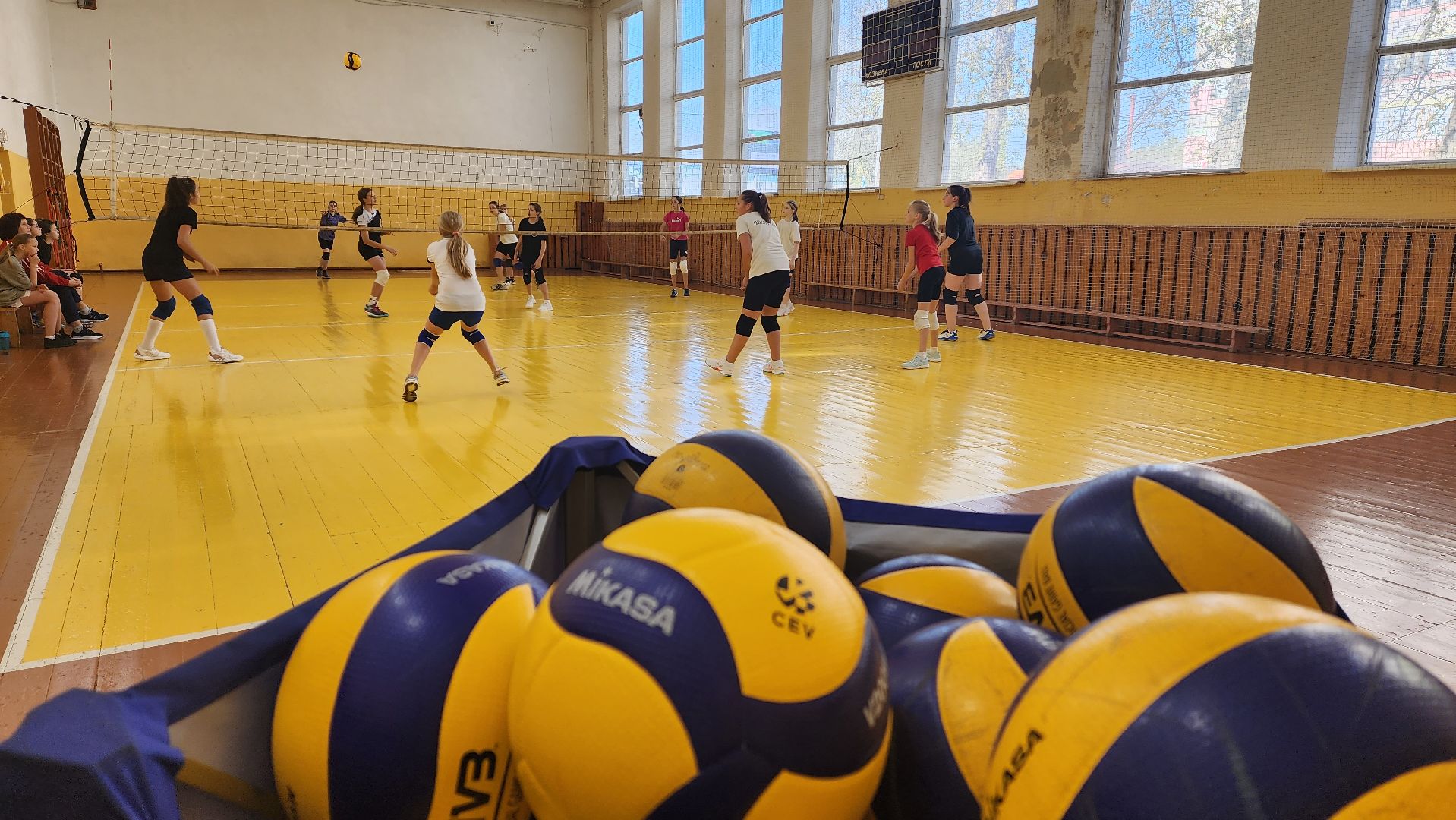 подмосковье, городской округ пушкинский, Ивантеевка, волейбол, сш ивантеевка, спорт,