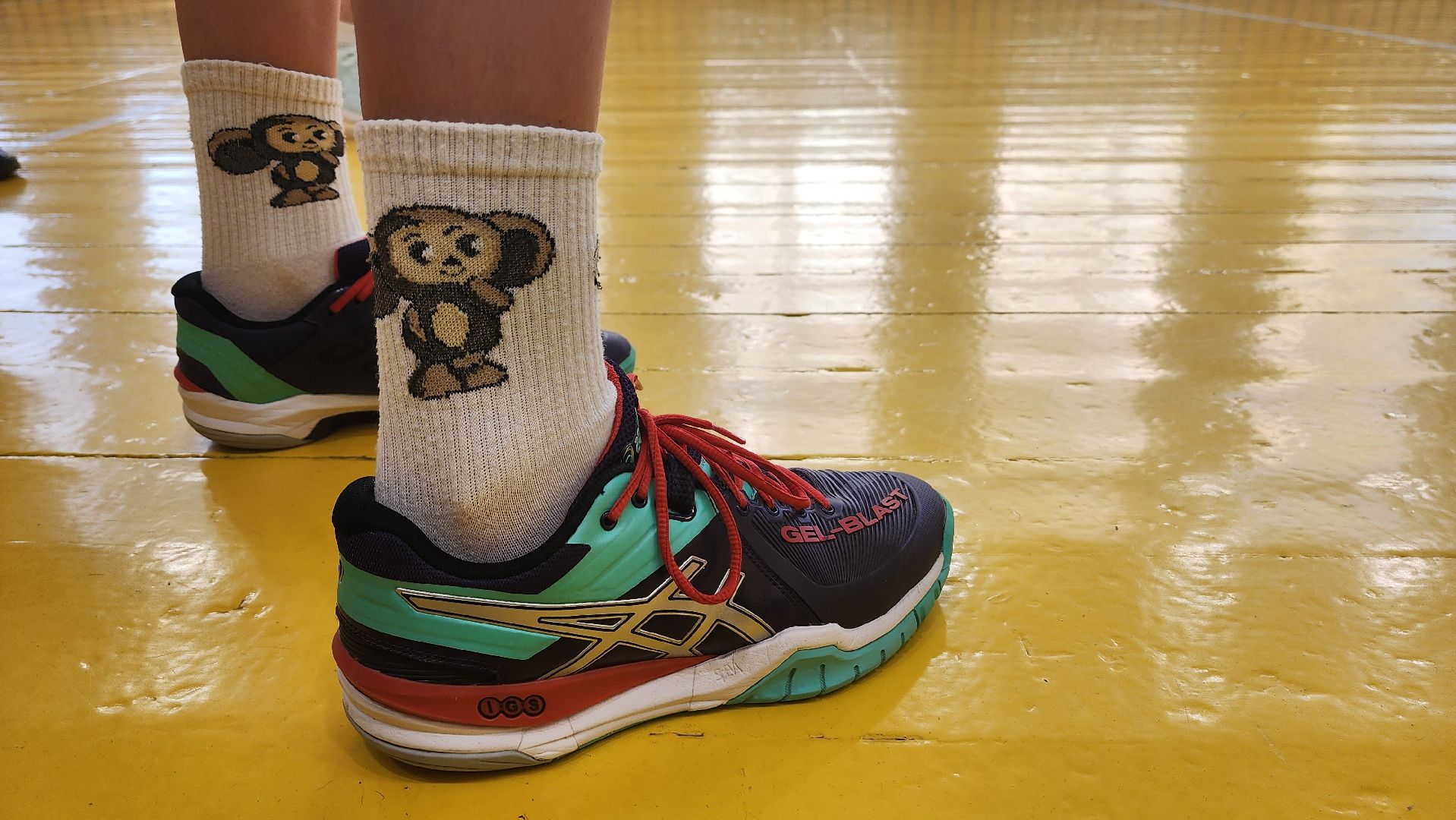 подмосковье, городской округ пушкинский, Ивантеевка, волейбол, сш ивантеевка, спорт,