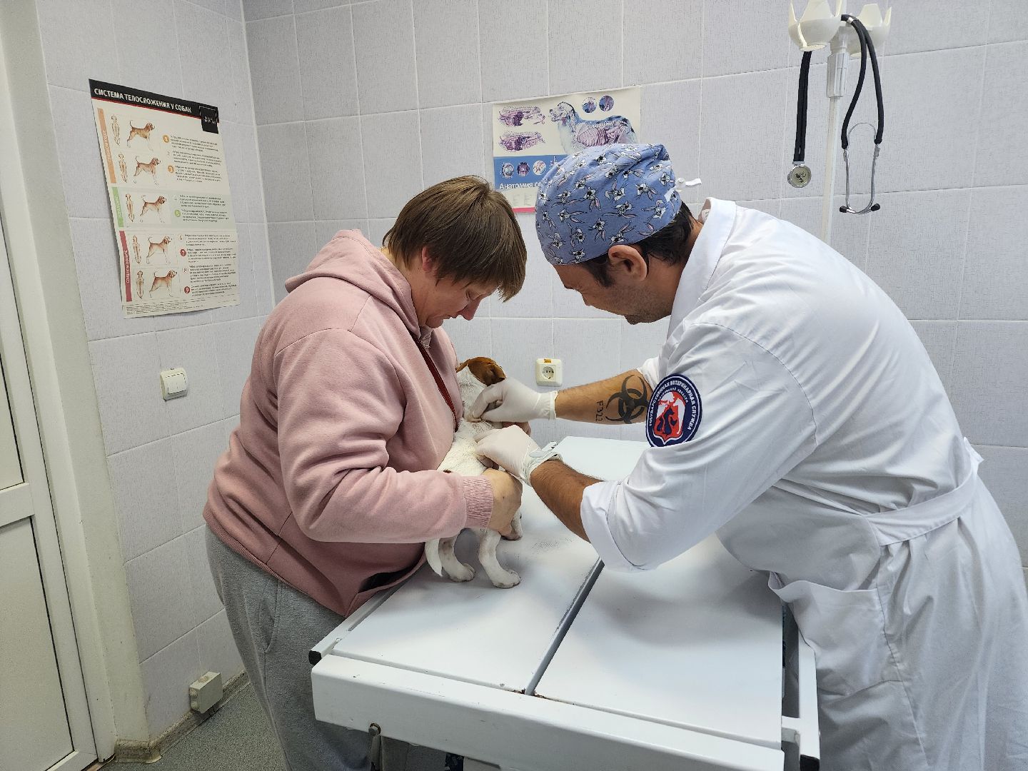 ступино, чипирование собак, ветеринария,