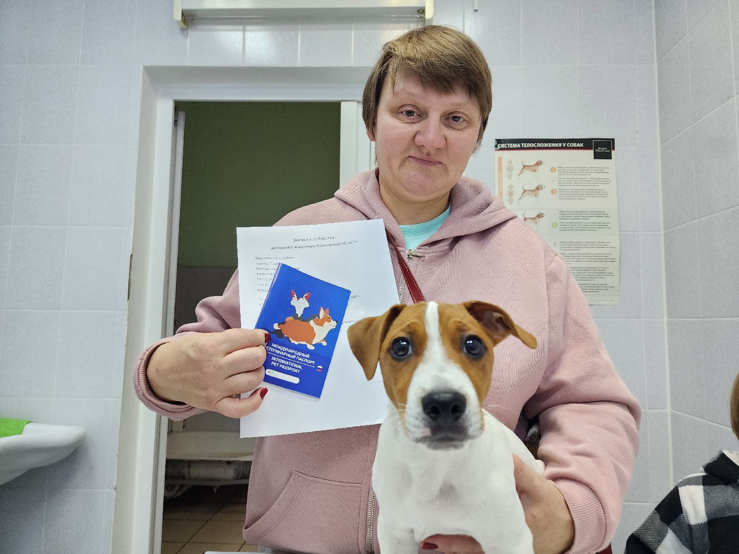 ступино, чипирование собак, ветеринария,