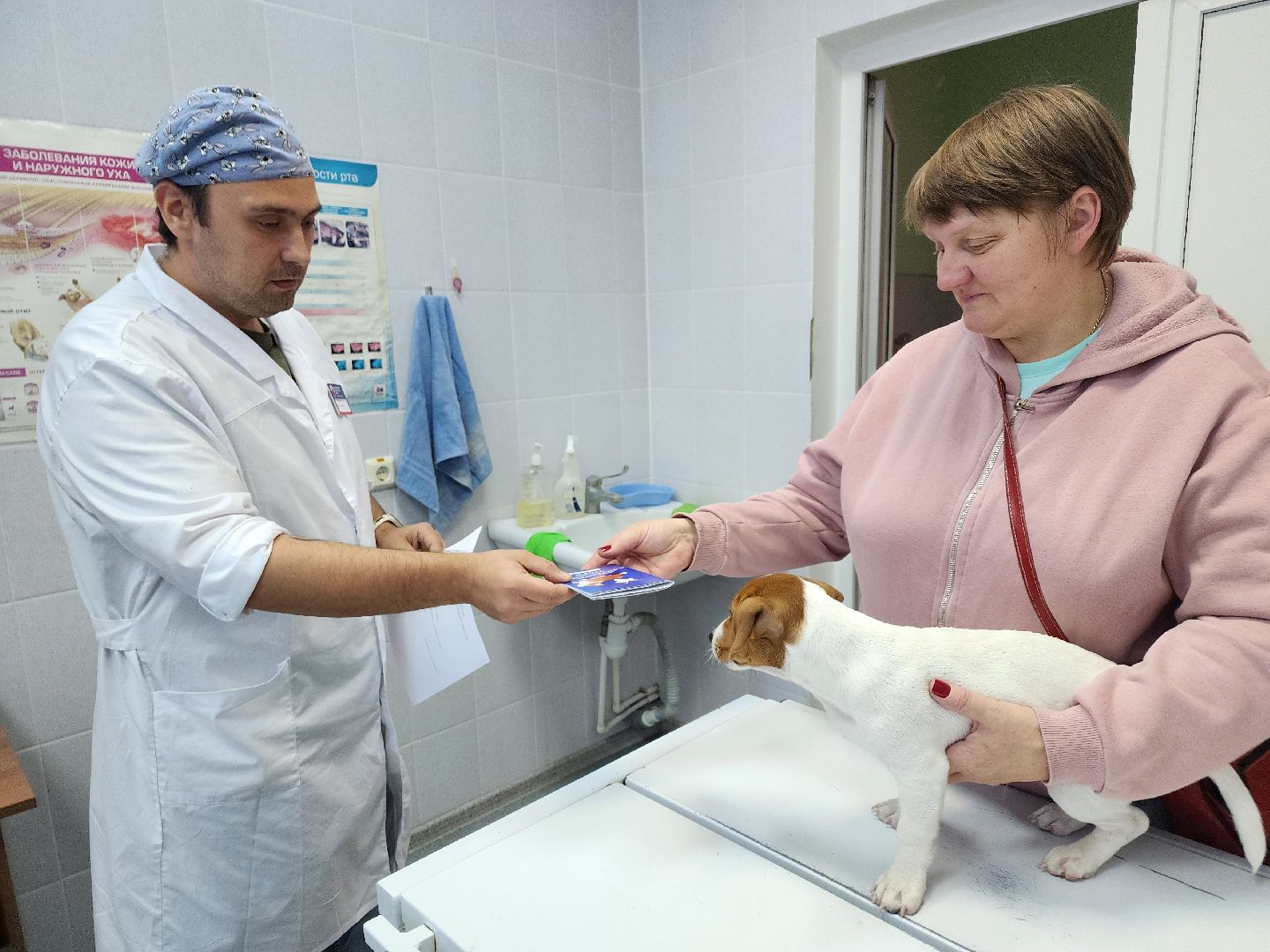 ступино, чипирование собак, ветеринария,