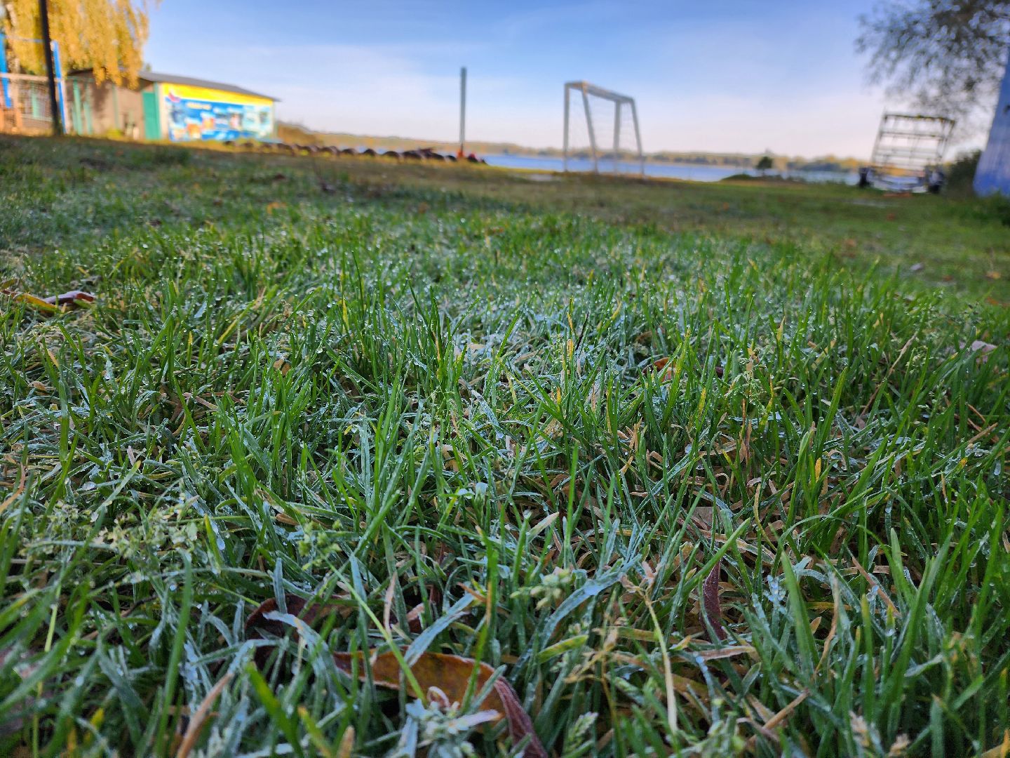 шатура, городской округ, первые холода, подмосковье, природа, заморозки,