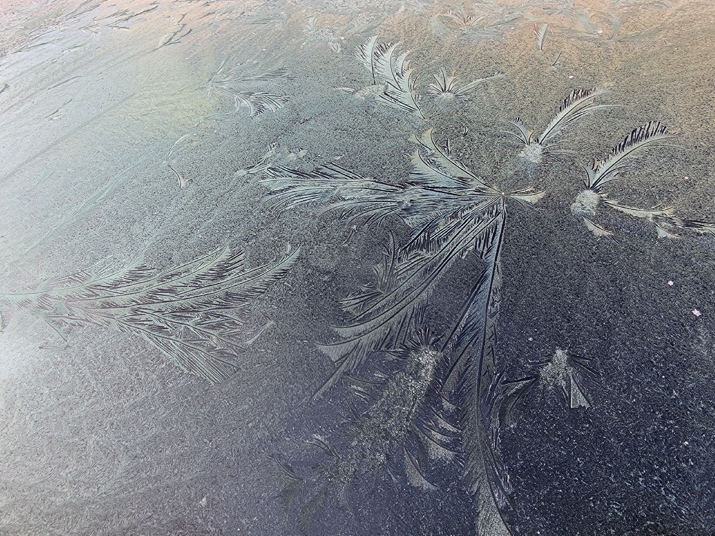 шатура, городской округ, первые холода, подмосковье, природа, заморозки,