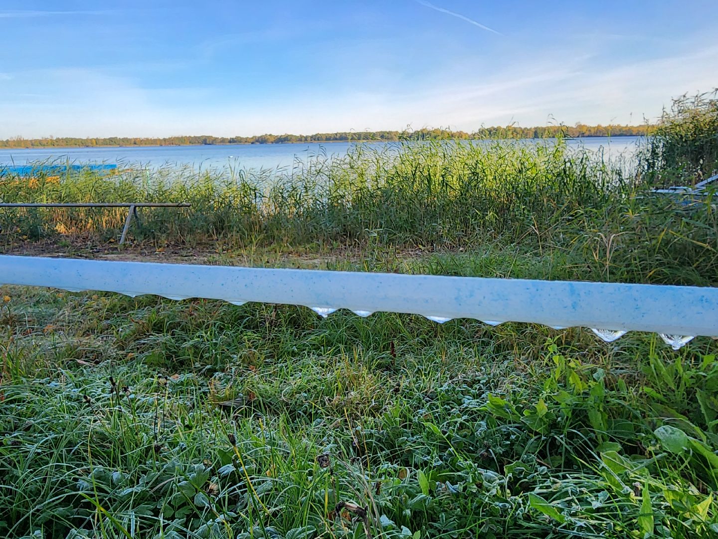 шатура, городской округ, первые холода, подмосковье, природа, заморозки,