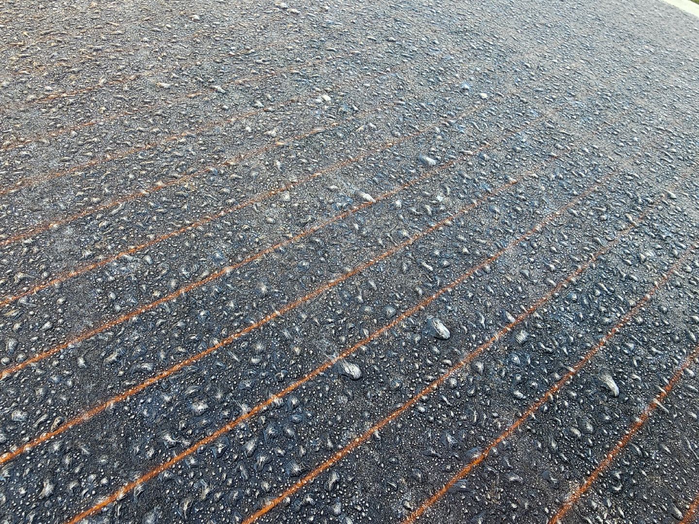 шатура, городской округ, первые холода, подмосковье, природа, заморозки,