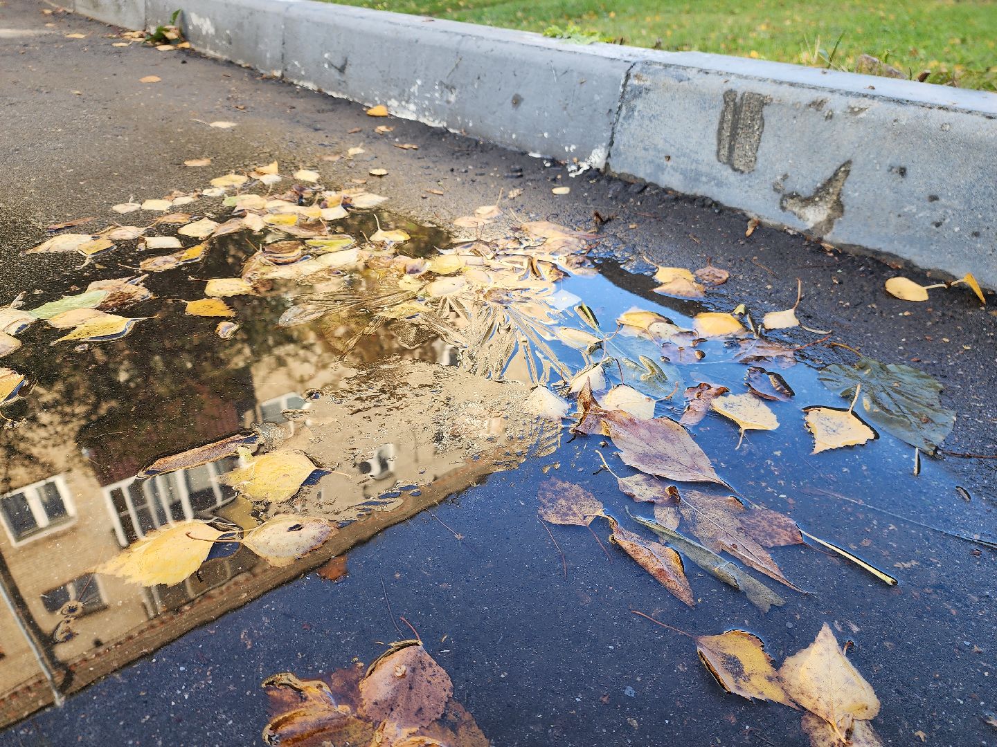 шатура, городской округ, первые холода, подмосковье, природа, заморозки,