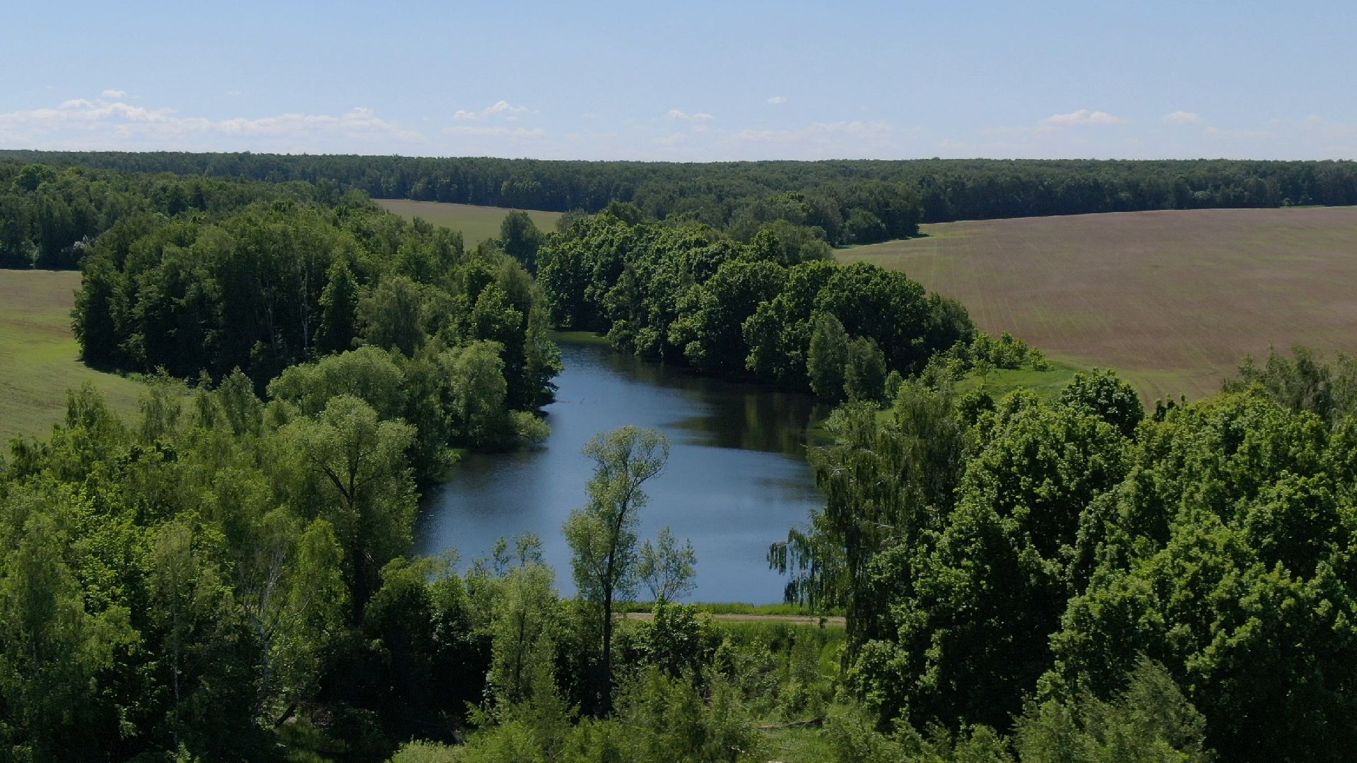 Зарайск, усадьба, культура,видео с коптера,
