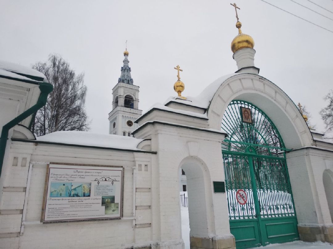 Дмитров, общество