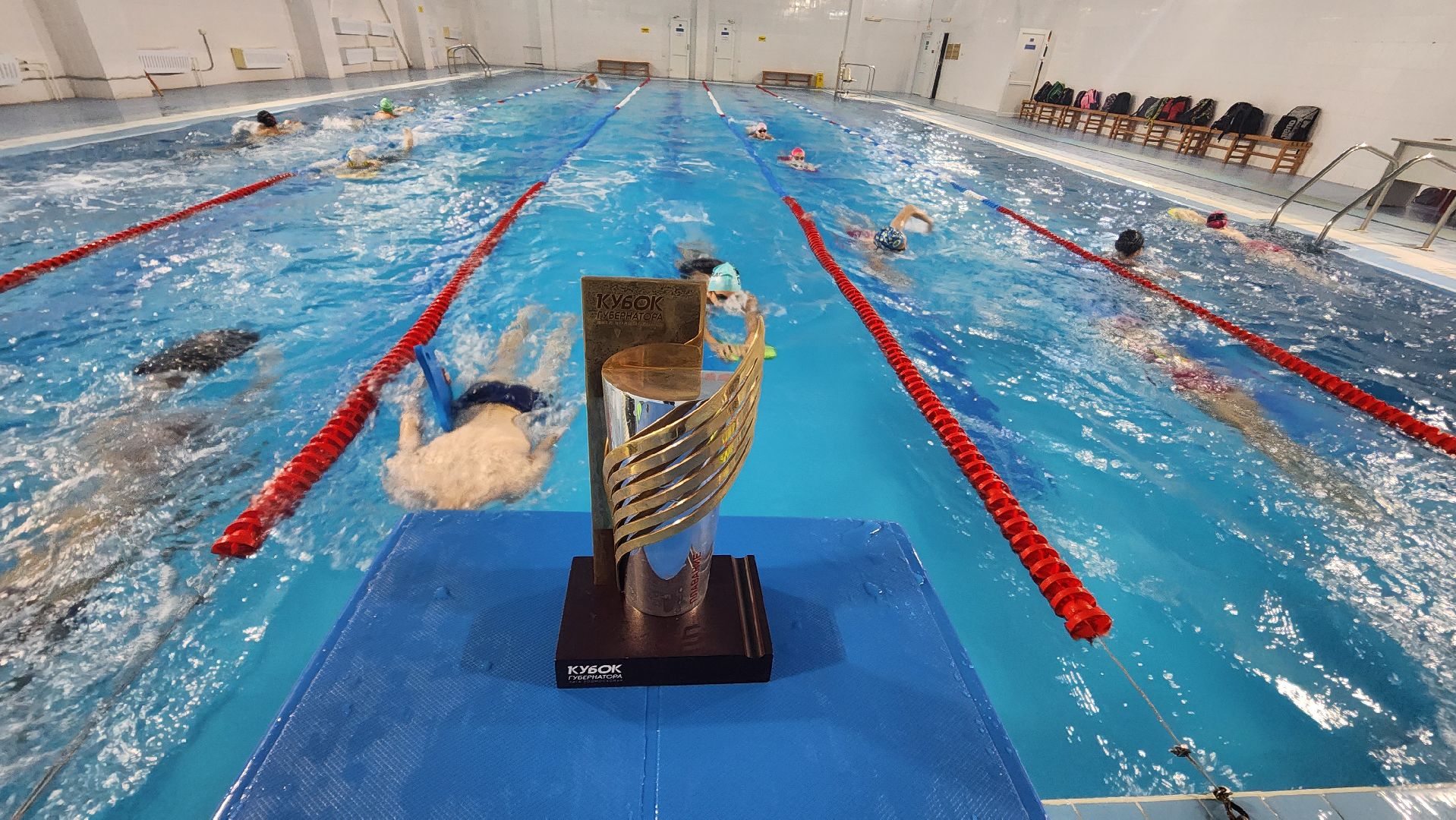 подмосковье, городской округ пушкинский, ивантеевка, Спортивная школа Ивантеевка, Спорт, Плаванье, детский спорт,