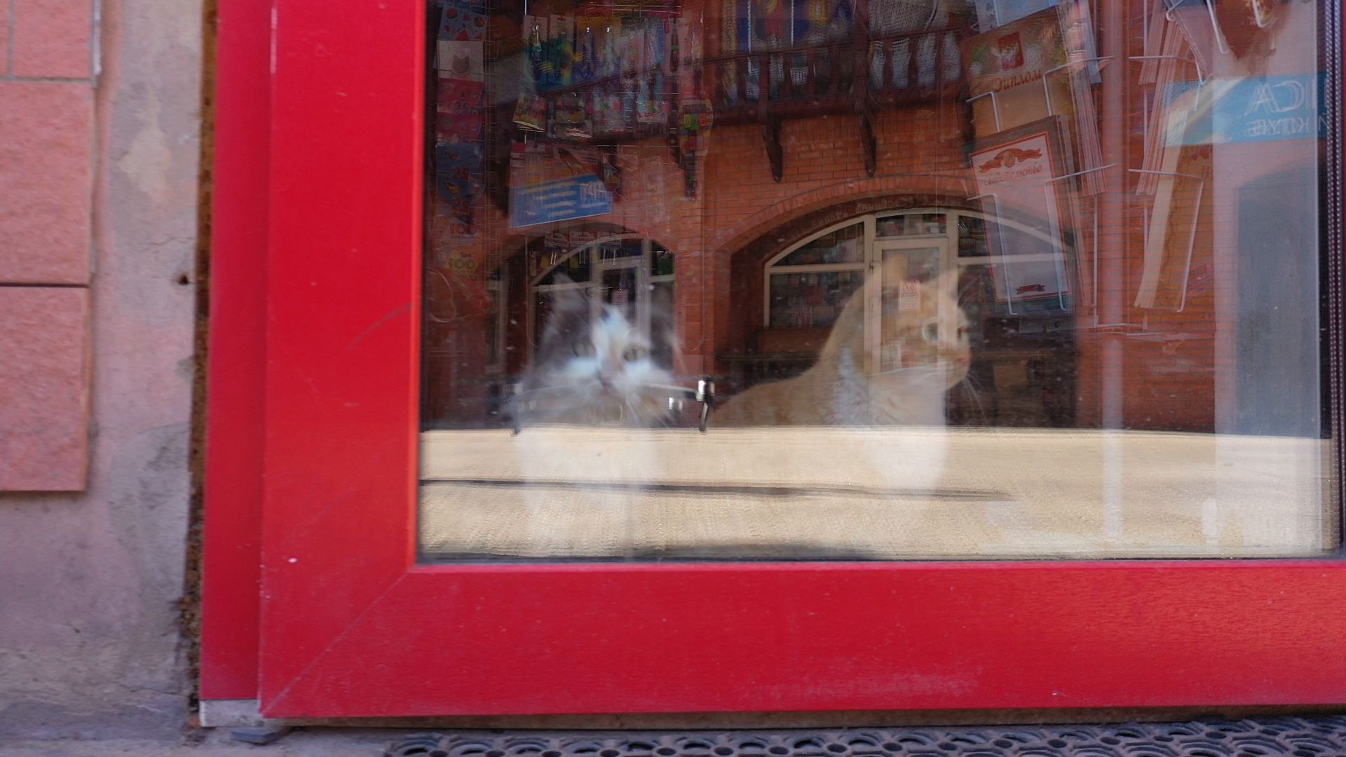 люберцы, ярмарка, книги,видео с коптера,