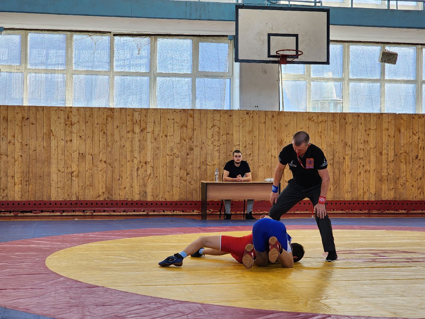 Греко-римская борьба, спорт, турнир, Ногинск, Богородский городской округ,