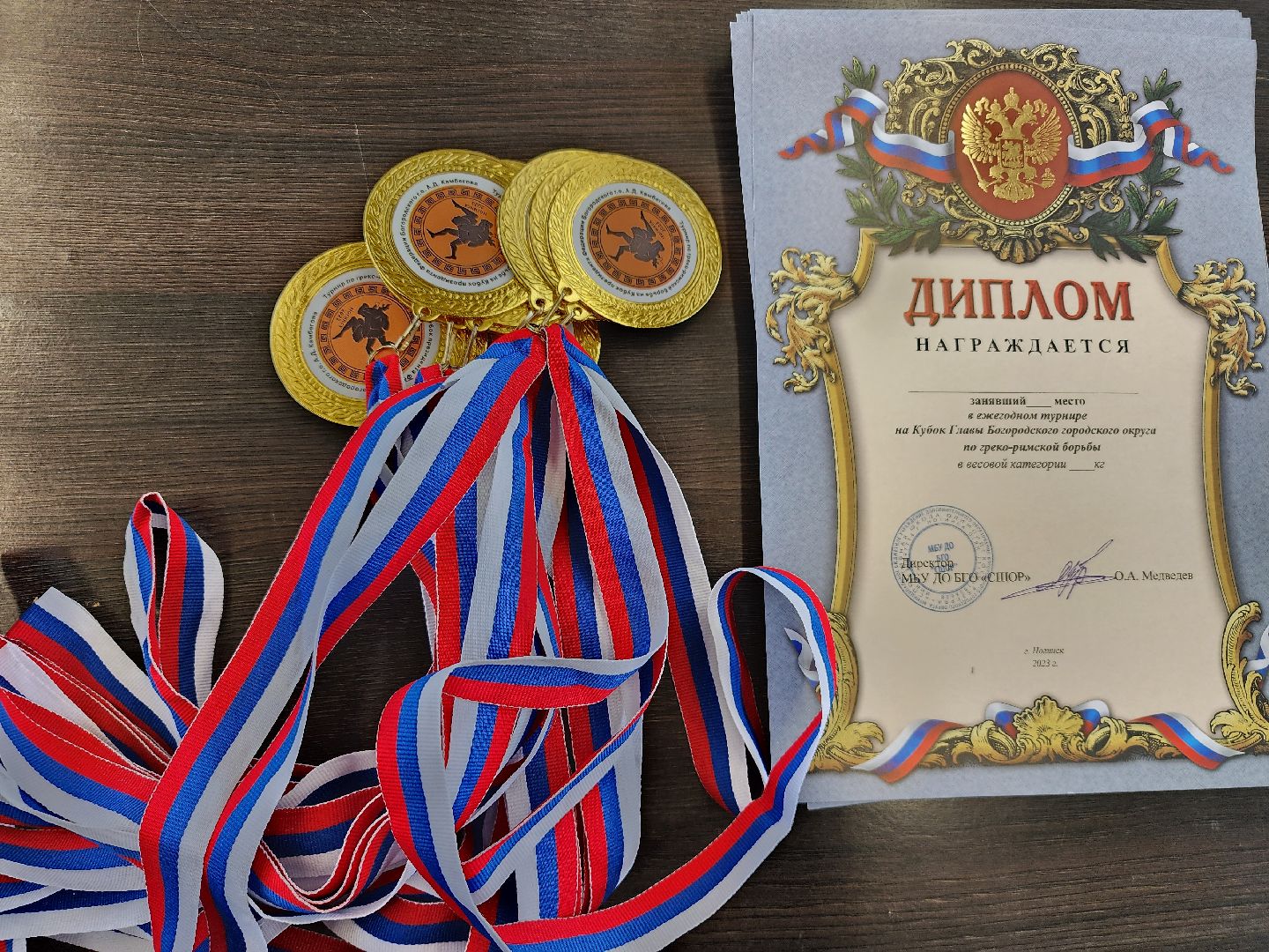 Греко-римская борьба, спорт, турнир, Ногинск, Богородский городской округ,