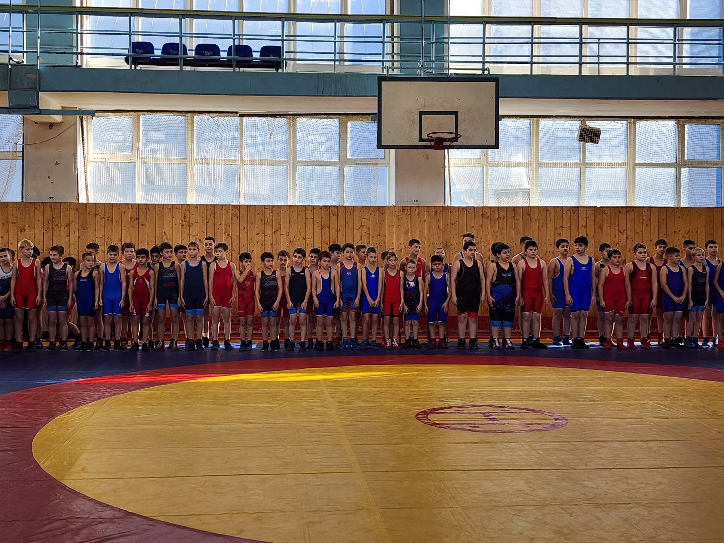 Греко-римская борьба, спорт, турнир, Ногинск, Богородский городской округ,