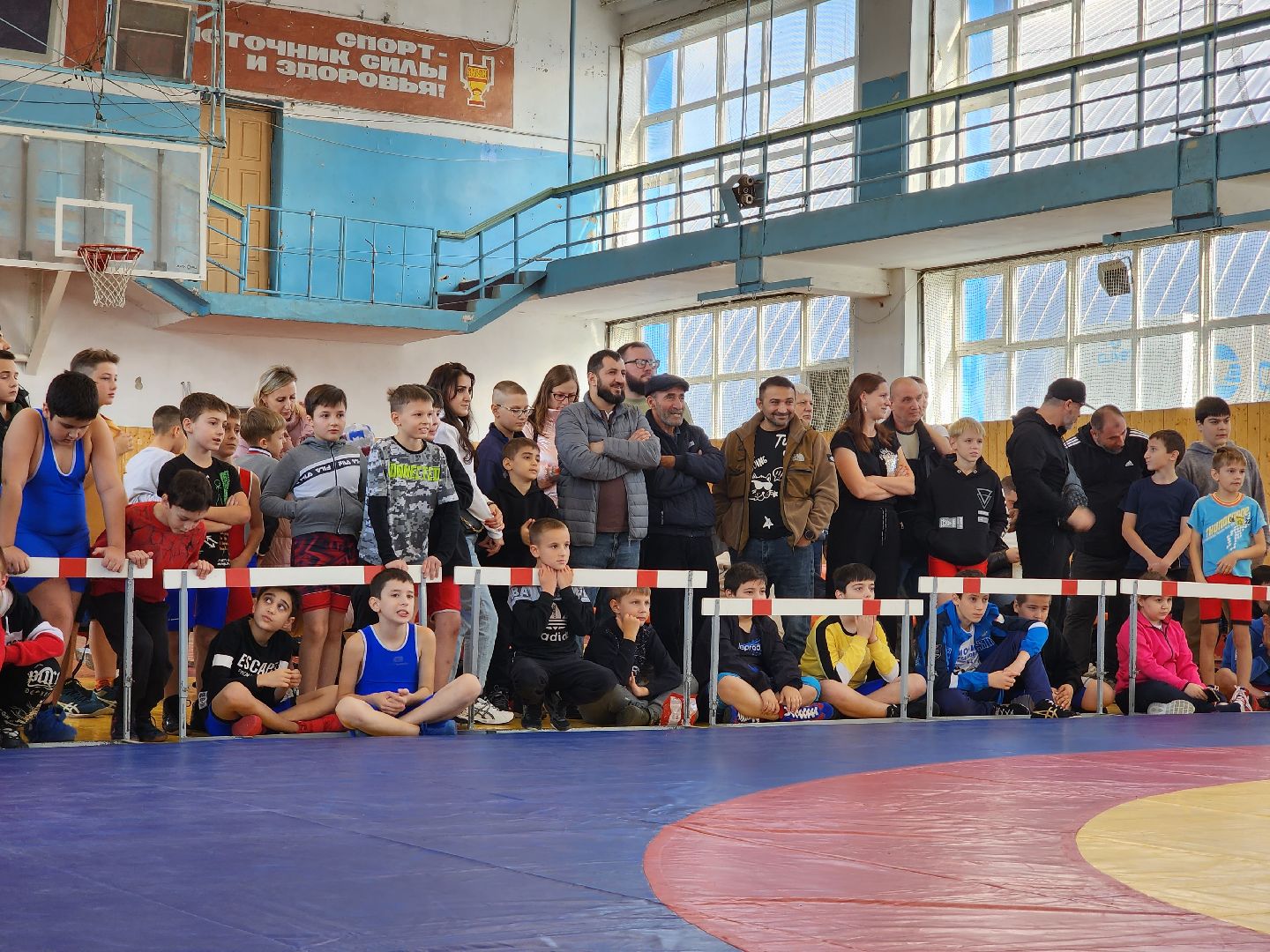 Греко-римская борьба, спорт, турнир, Ногинск, Богородский городской округ,