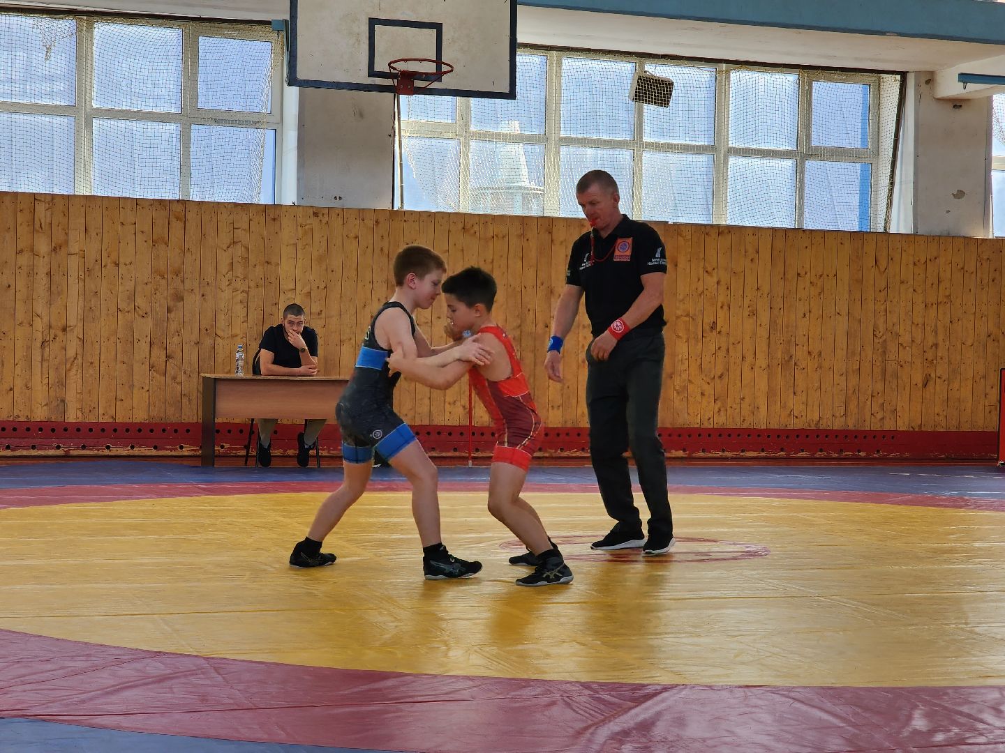 Греко-римская борьба, спорт, турнир, Ногинск, Богородский городской округ,