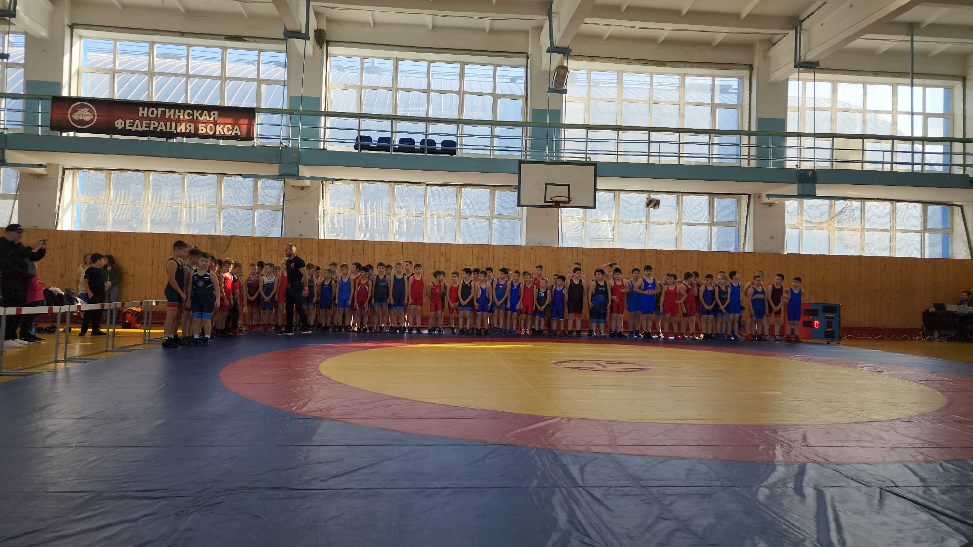 Греко-римская борьба, спорт, турнир, Ногинск, Богородский городской округ,