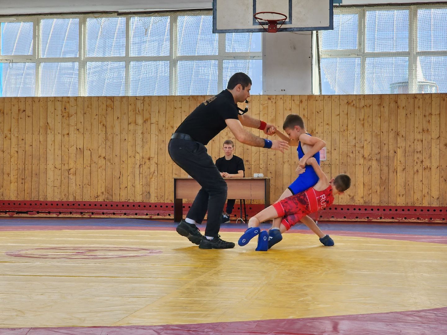 Греко-римская борьба, спорт, турнир, Ногинск, Богородский городской округ,