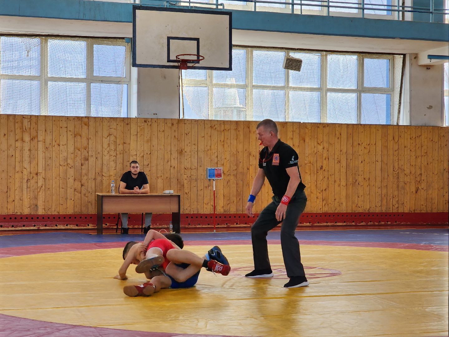 Греко-римская борьба, спорт, турнир, Ногинск, Богородский городской округ,