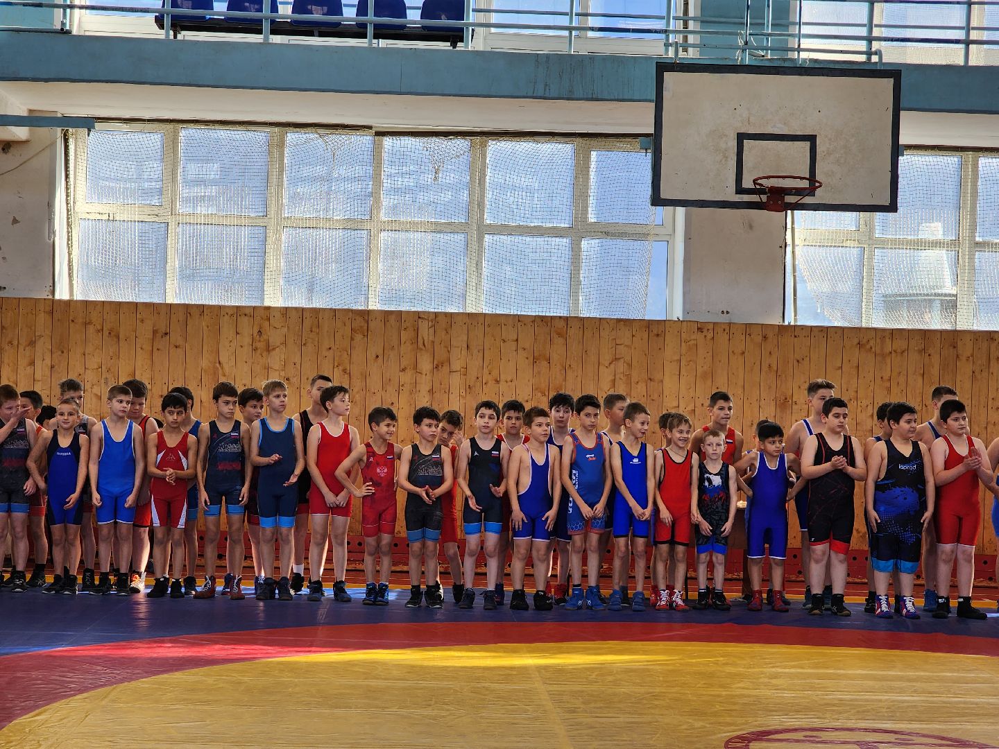 Греко-римская борьба, спорт, турнир, Ногинск, Богородский городской округ,