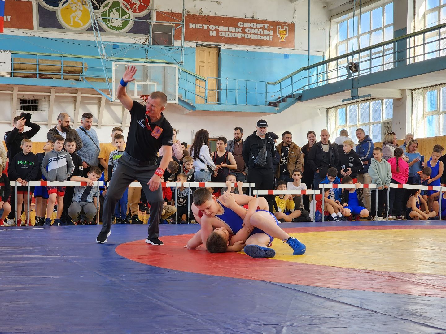 Греко-римская борьба, спорт, турнир, Ногинск, Богородский городской округ,